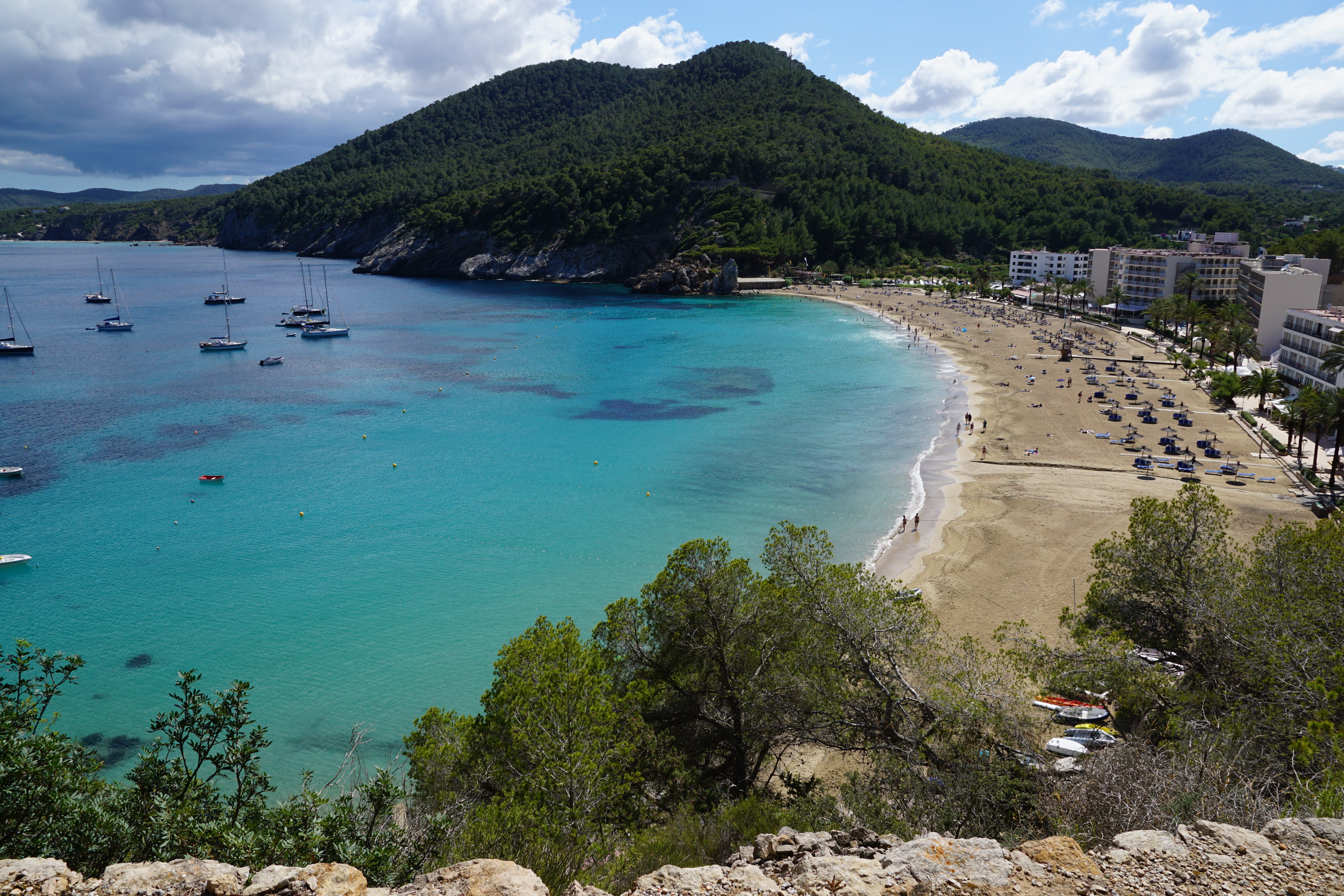 maritime, travel, turquoise, idyllic, day, turquoise colored, 5K, tree, land, ibiza, no people, travel destinations, sky, balearic islands, beauty in nature, HD Wallpaper