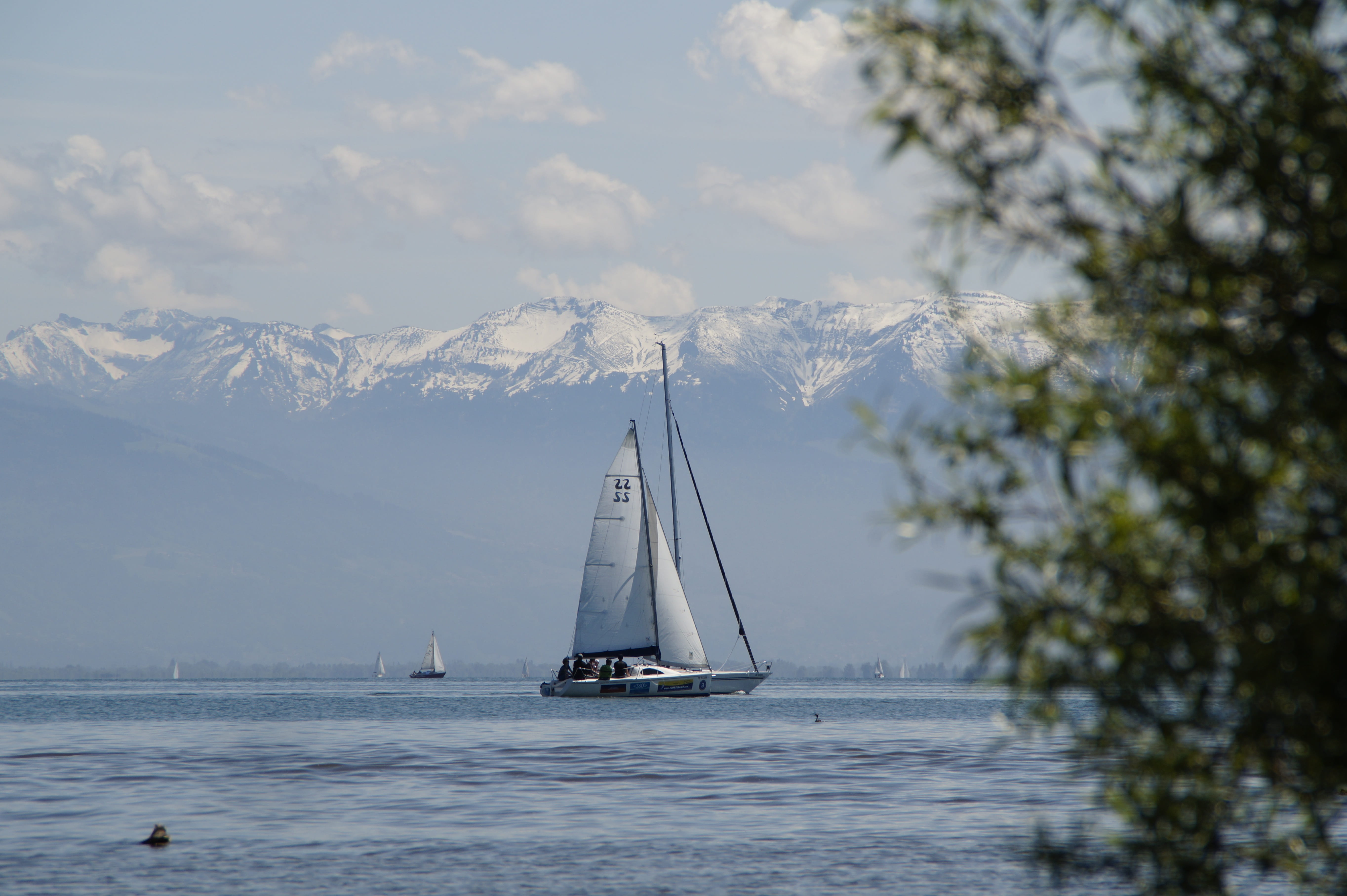Lake Constance, mountain, non-urban scene, water sports, sail, water, 5K, sea, idyll, rest, ship, recovery, sport, shipping, mood, bank, peaceful, cold temperature, HD Wallpaper