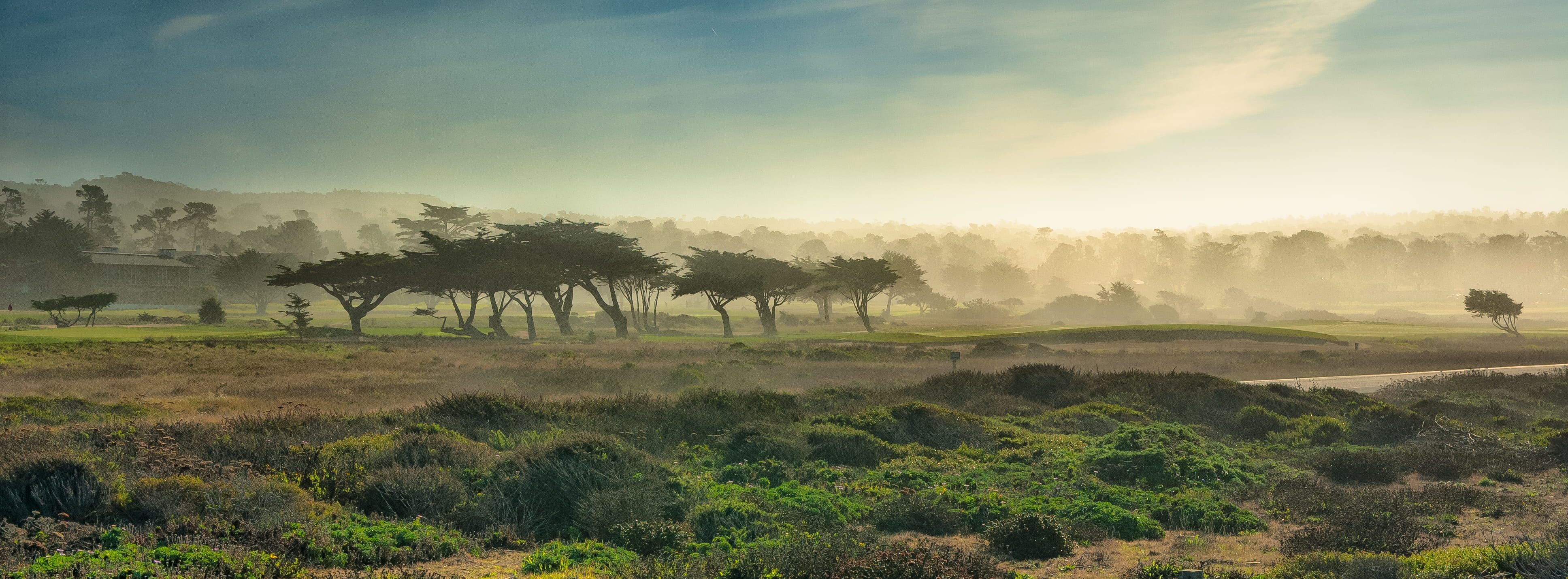 hazy, field, tranquility, non-urban scene, tree, land, pebble beach, outdoors, scenics - nature, environment, nature, plant, idyllic, beauty in nature, HD Wallpaper