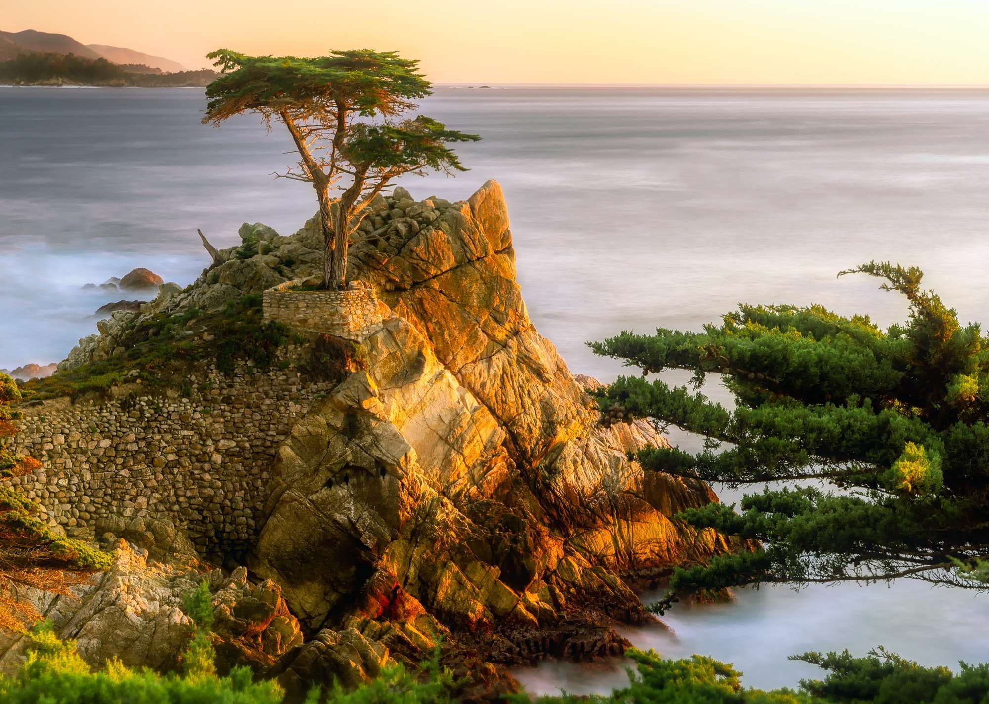 rock - object, nature, alone, growth, 1080P, non-urban scene, beautiful, sunset, scenics - nature, beauty in nature, hdr, water, plant, pacific, land, HD Wallpaper