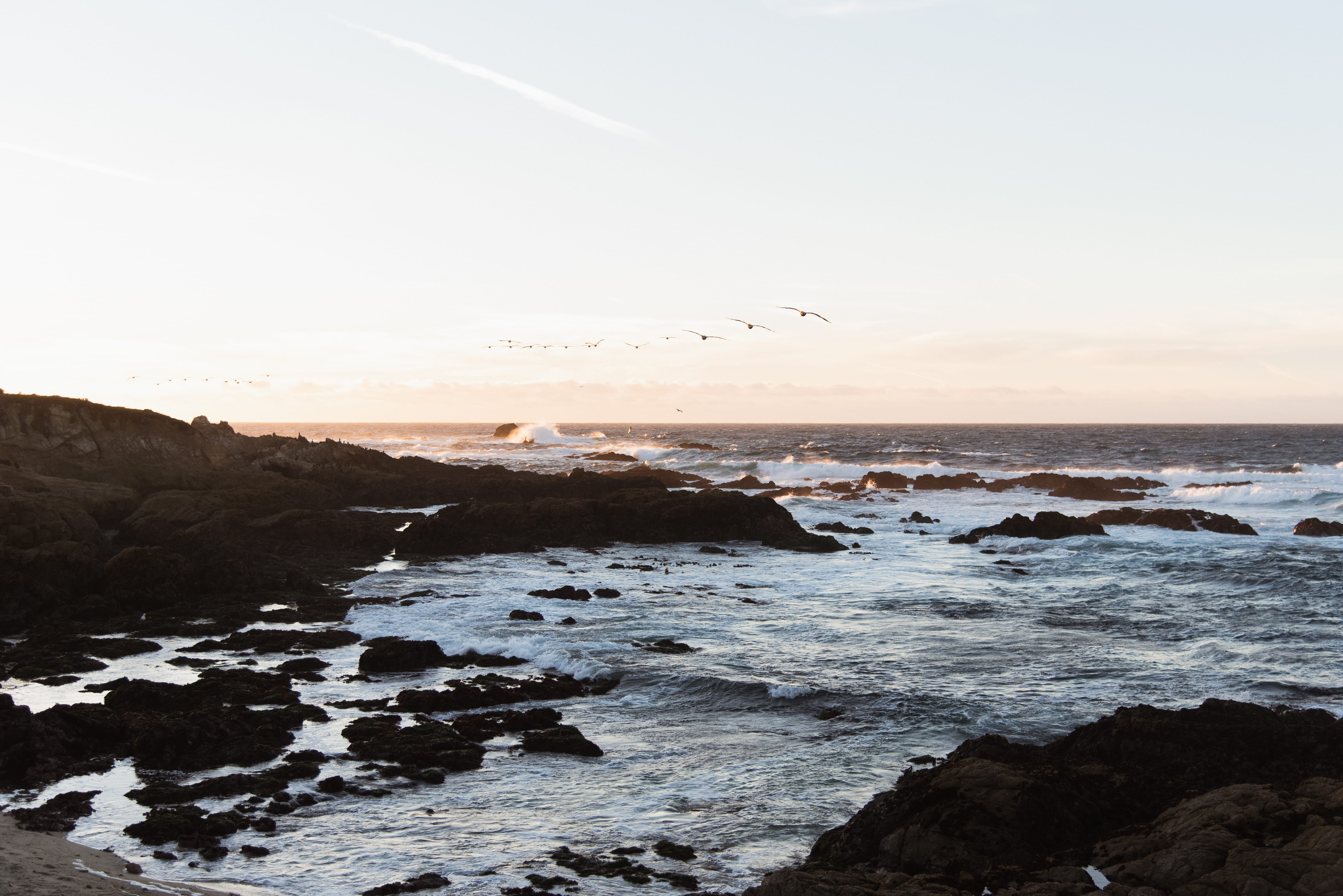 tranquility, cave, coast, shore, tower, beauty in nature, land, horizon, cove, tranquil scene, idyllic, bird, architecture, nature, outdoors, building, HD Wallpaper