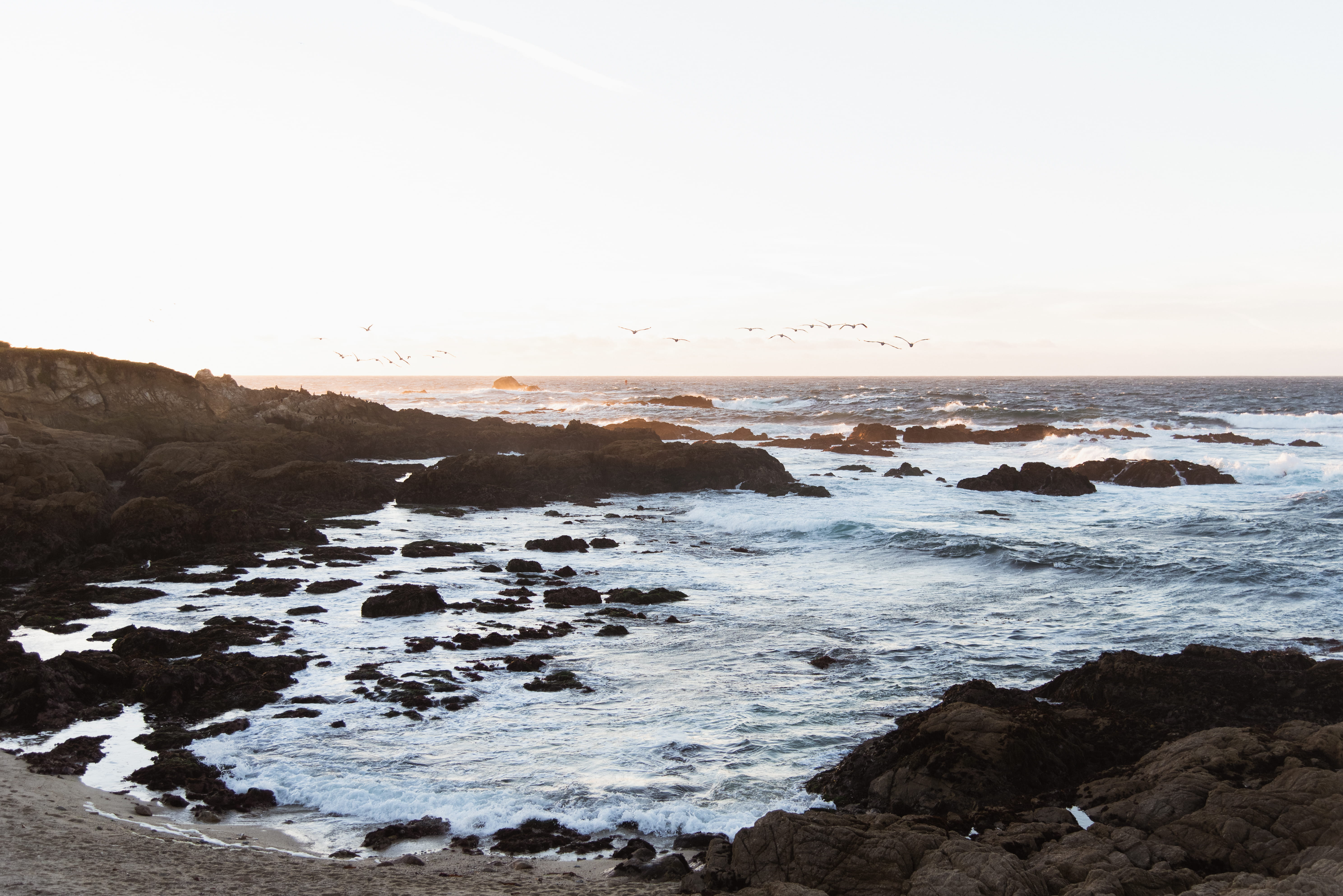 shoreline, breaking, california, rock - object, hitting, bird, power in nature, seashore, rock, sea, motion, promontory, rocks, tranquil scene, outdoors, HD Wallpaper