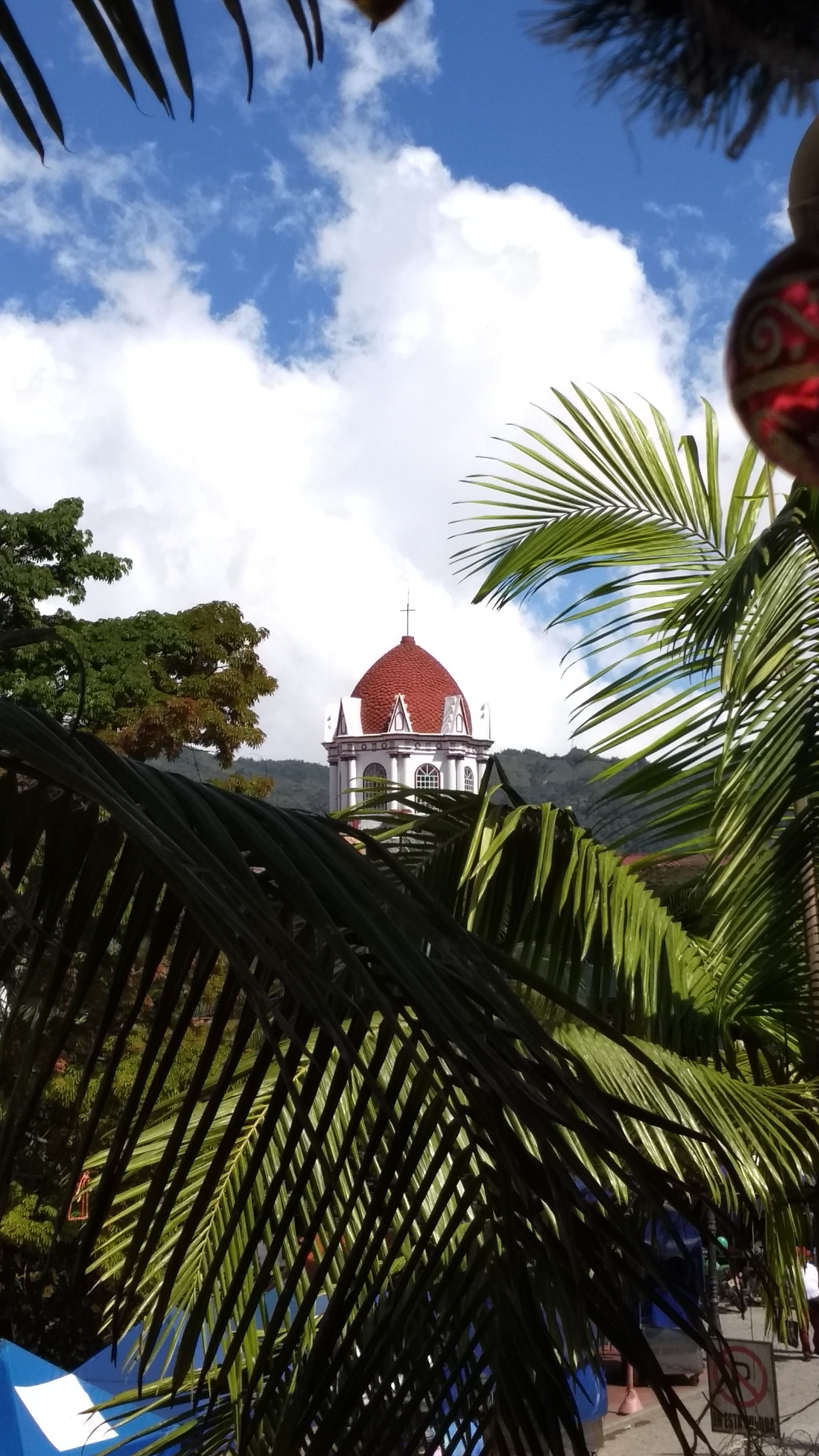 Guatapé, low angle view, Iglesia, sky, tropical climate, palm tree, growth, no people, leaf, Cúpula, built structure, architecture, nature, plant, 4K, Phone HD Wallpaper