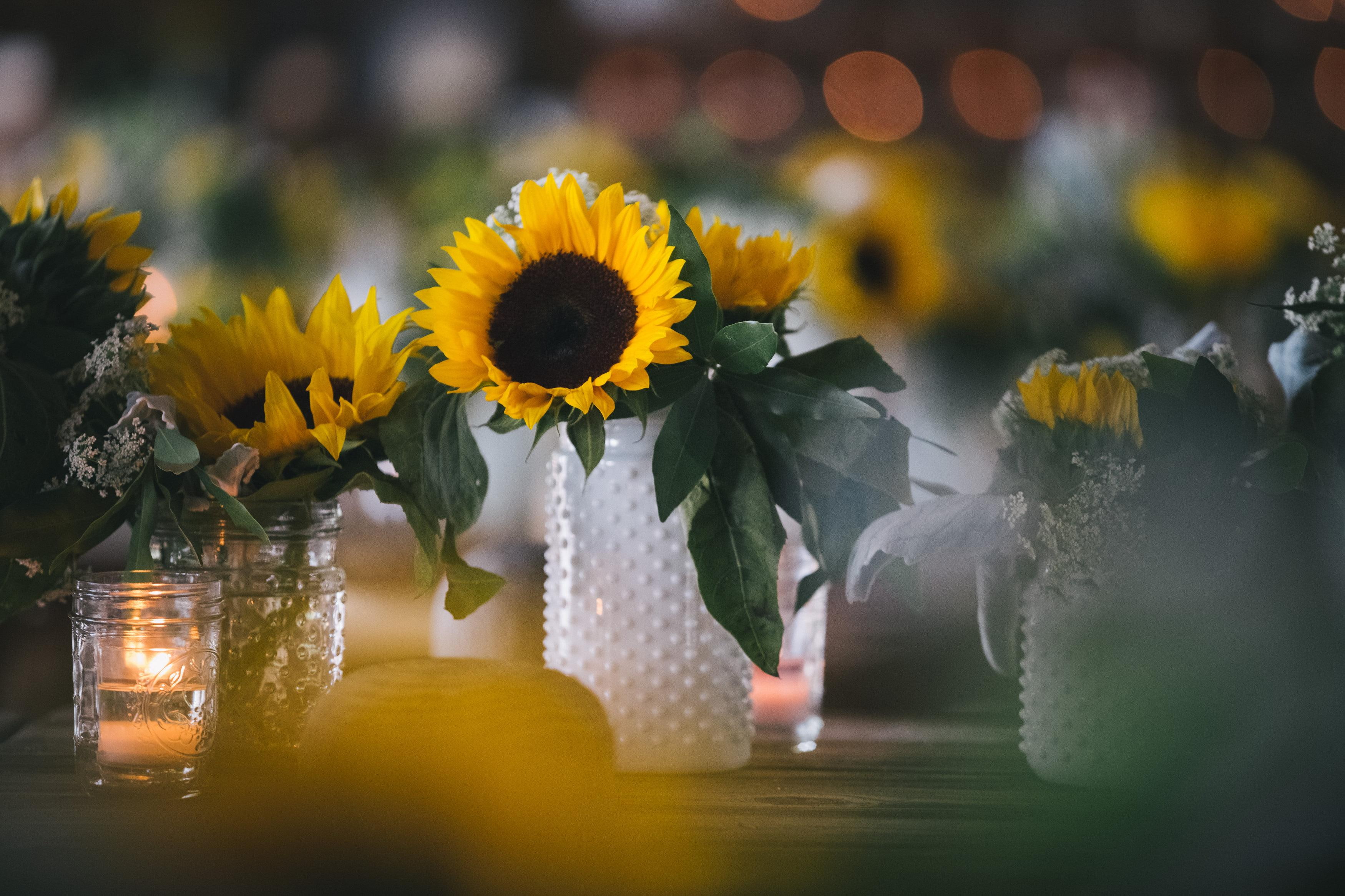 candles, bokeh, 2K, annie, beautiful, time, relax, relaxing, sunflowers, HD Wallpaper