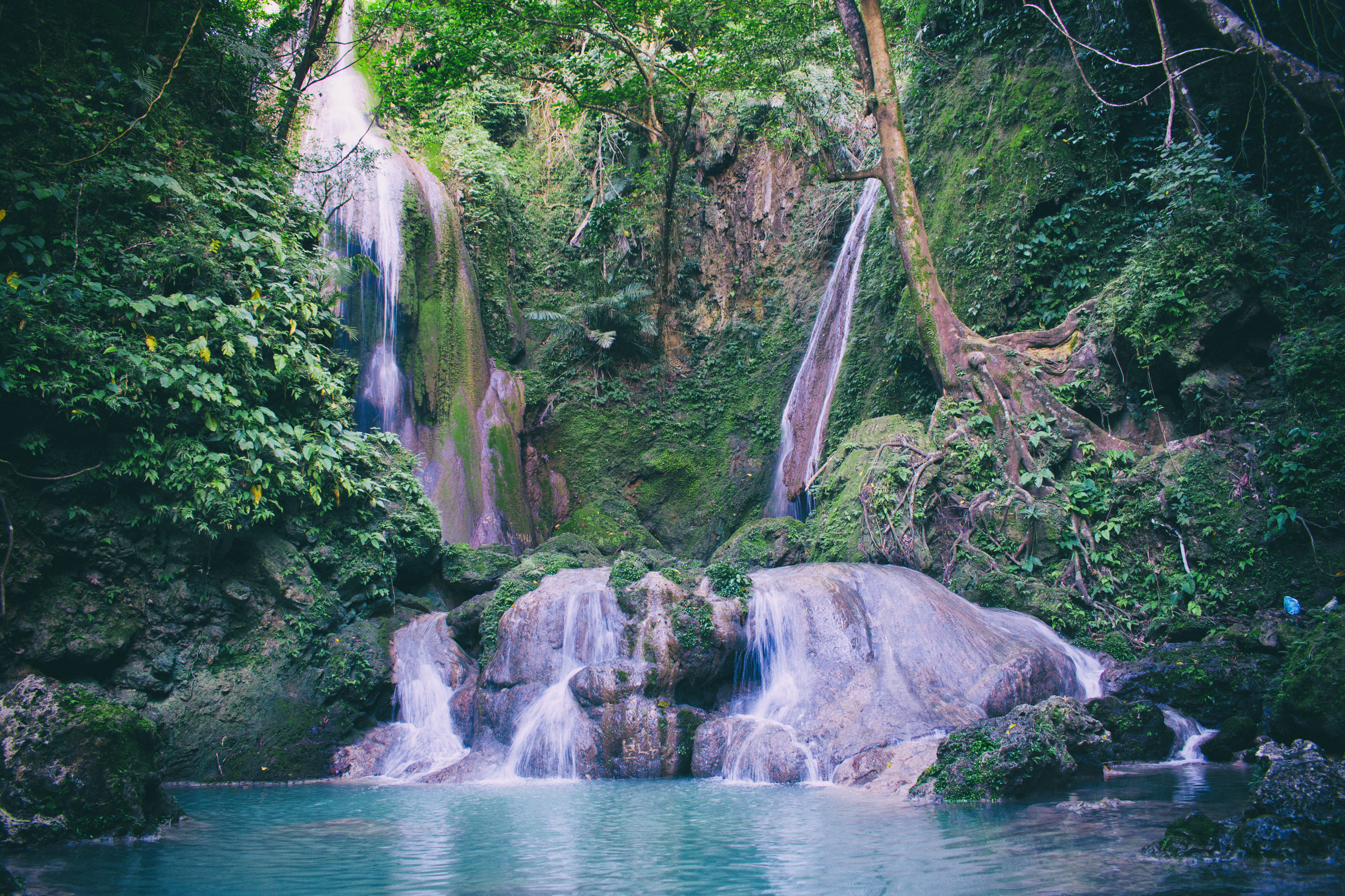rainforest, beauty in nature, rocks, leaves, day, land, solid, green, photography, no people, waterfront, flow, flowing, plants, nature, outdoors, scenics - nature, HD Wallpaper