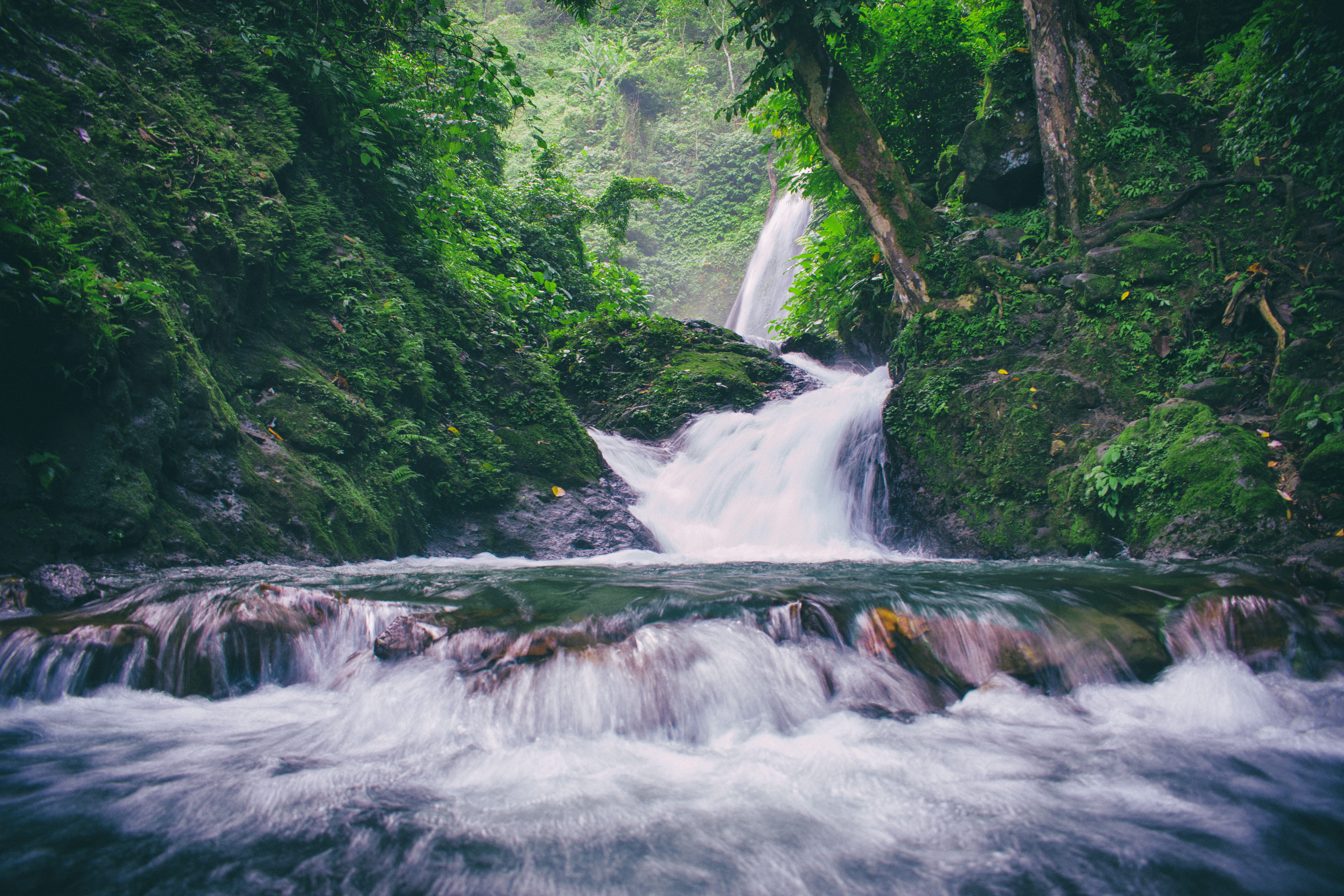 moss, scenic, no people, waterfall, flowing, splash, woods, trees, outdoors, waterfalls, river, rocks, photography, scenics - nature, flow, vegetation, HD Wallpaper