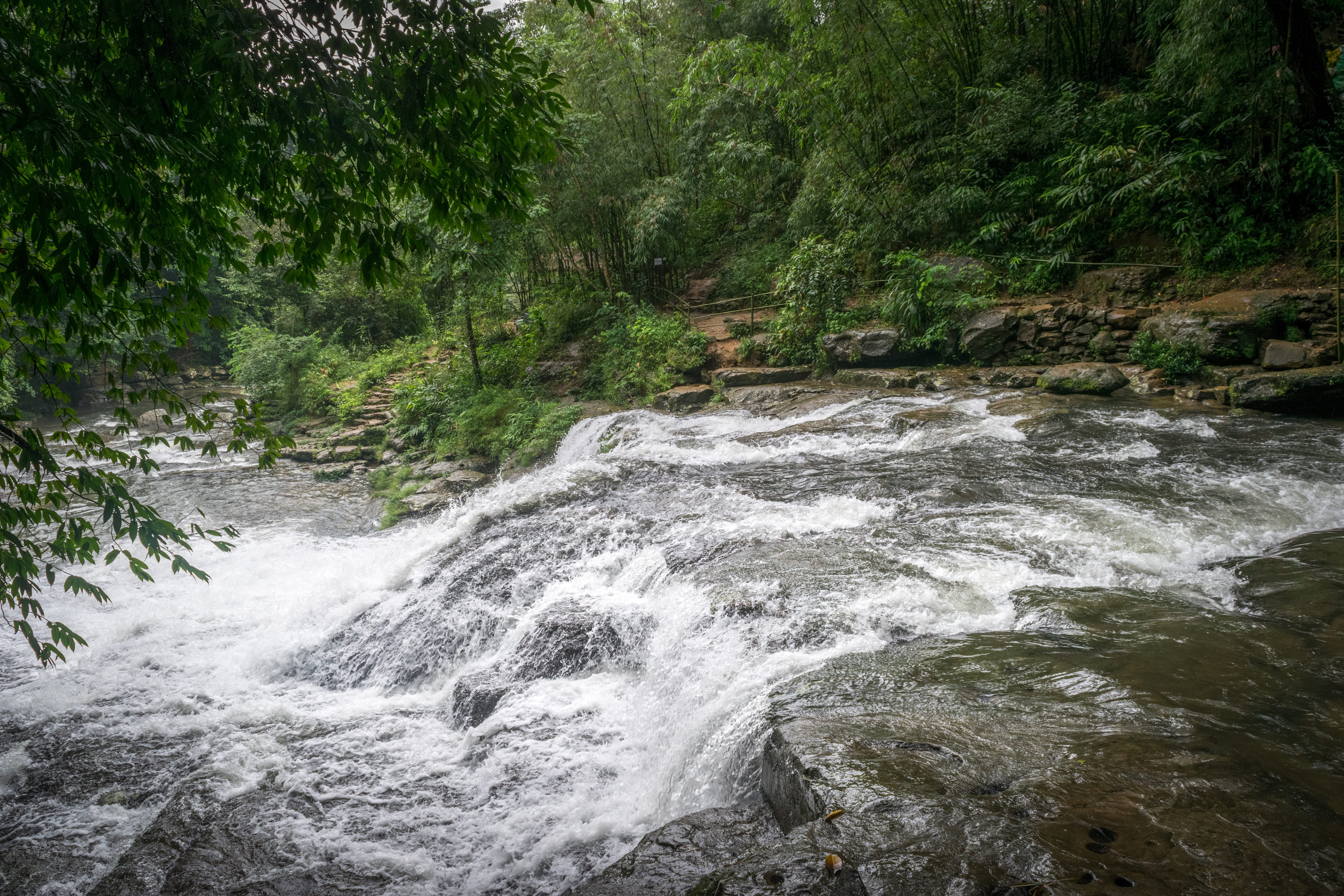 growth, plant, river, long exposure, scene, 5K, day, outdoors, nature, motion, environment, view, non-urban scene, rocks, natural, daytime, no people, HD Wallpaper