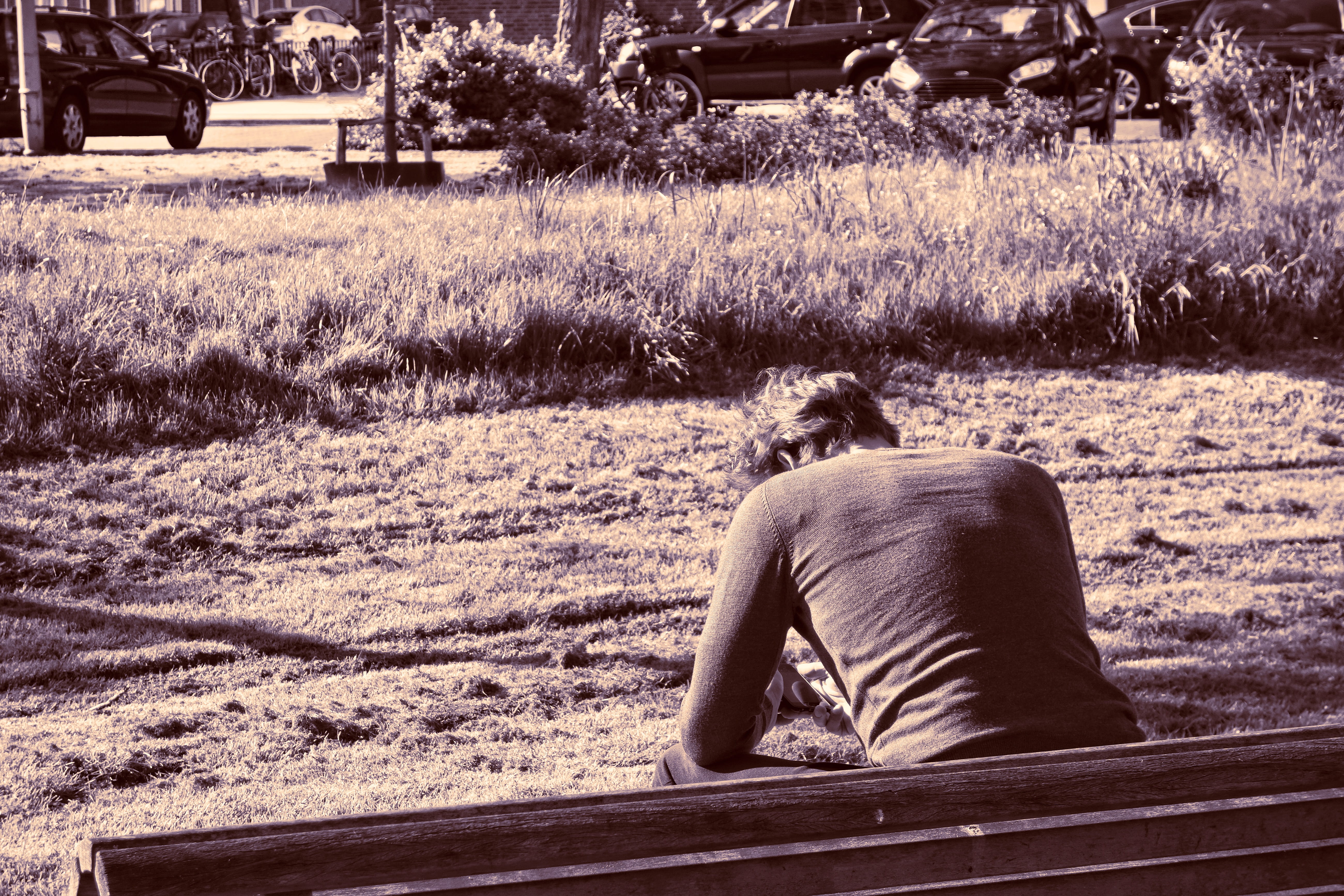 back, contemplating, one animal, day, men, guy on bench, land, sitting, nature, grayscale, real people, domestic, pets, person, leaning on knees, photography, HD Wallpaper