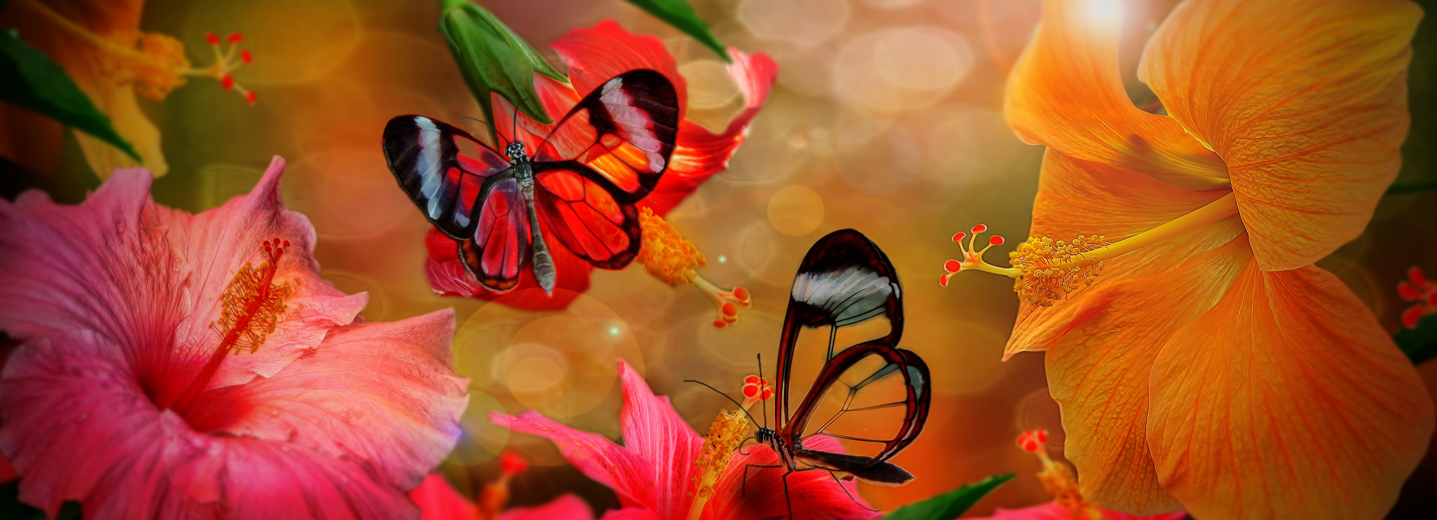 fragility, animal, flowering plant, photoshop, focus on foreground, red, springtime, animal wing, butterfly, petal, pollen, flower head, plant, insect, HD Wallpaper