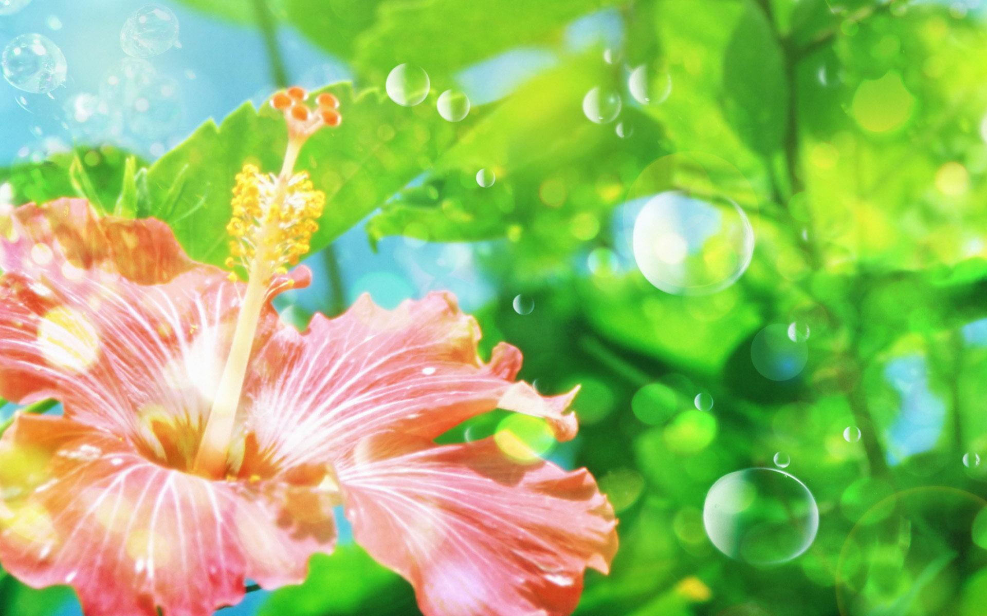 flower, hibiscus, blooms, 3d and abstract, jpg, 1080P, HD Wallpaper
