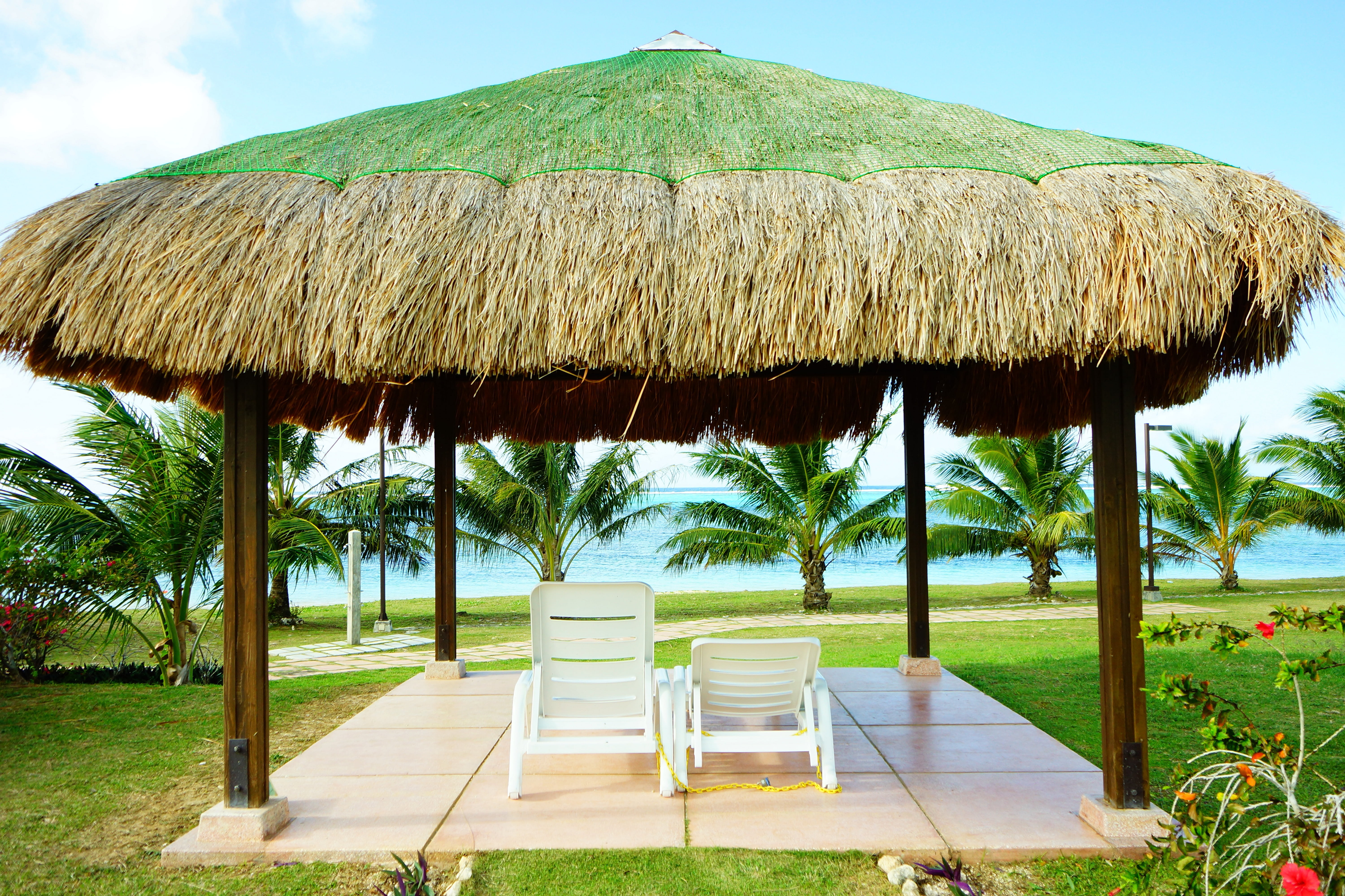 summer, tree, palm tree, two, sea, luxury, beach, architecture, saipan travel, blue, plant, 5K, travel destinations, land, tourist Resort, trip, loungers, HD Wallpaper