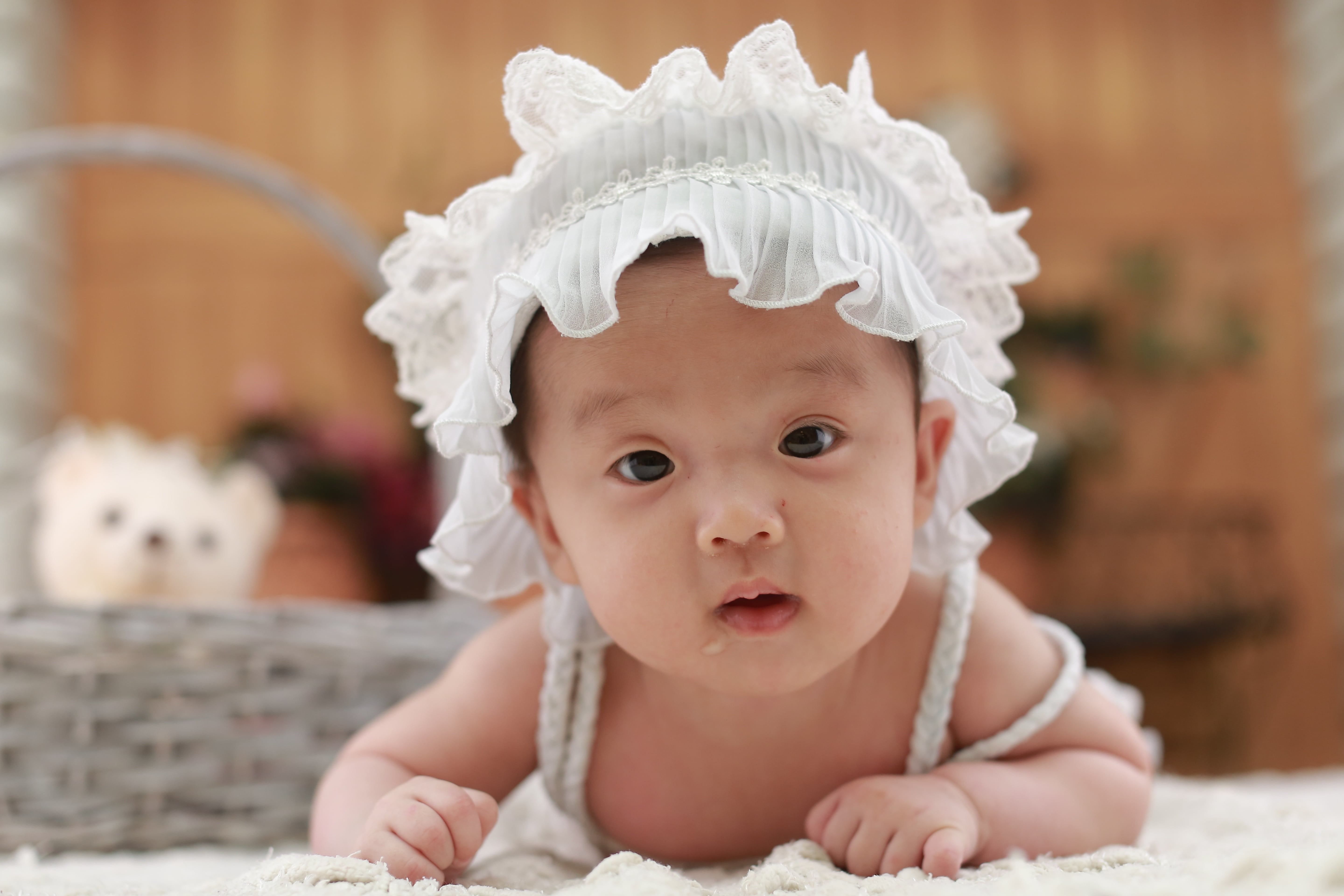 baby, wearing, cheerful, professional photography, doll, baby clothing, early childhood education, moe, childhood, happiness, innocence, teddy bear, angle, HD Wallpaper