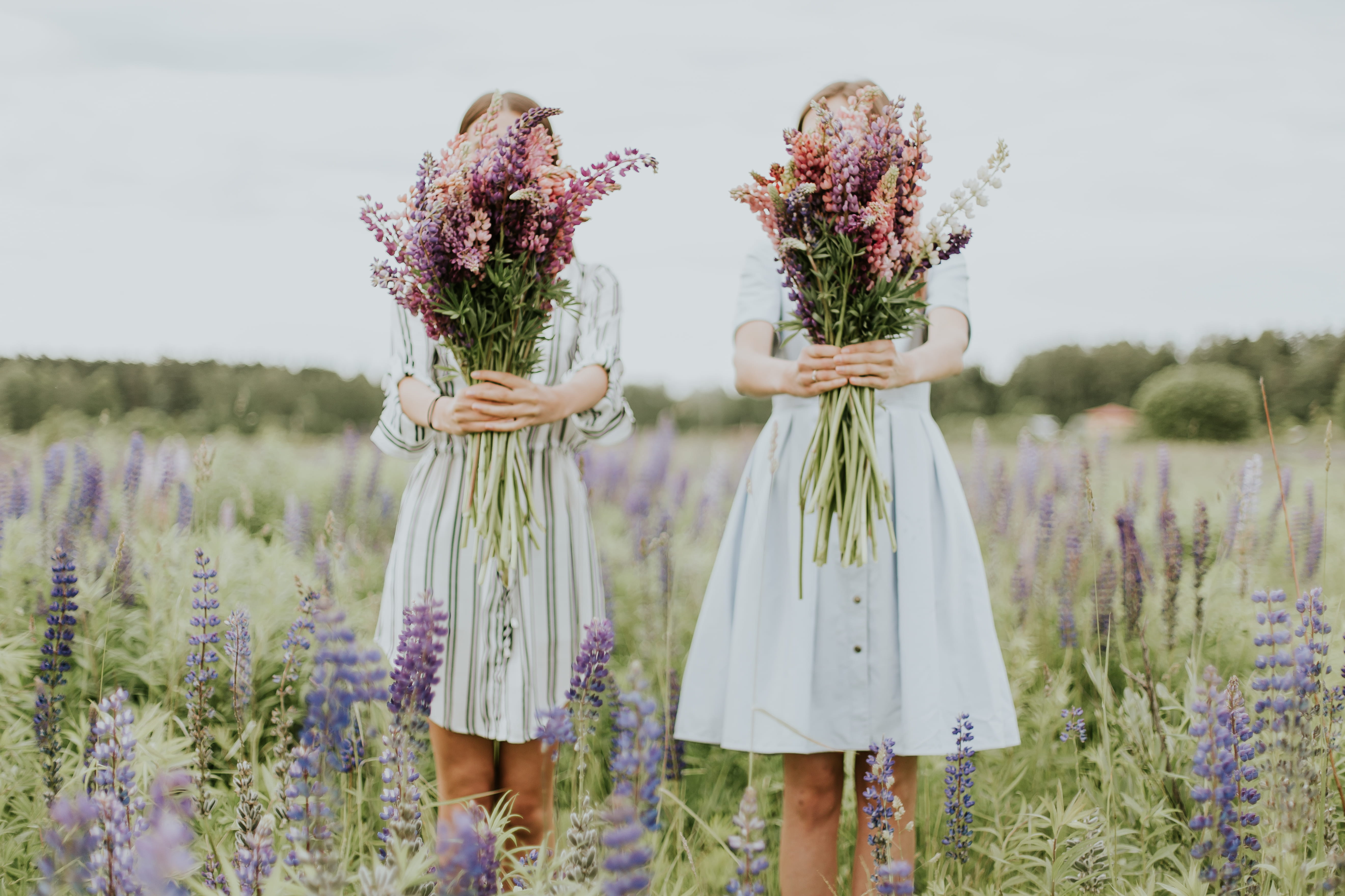 female, lady, woman, three quarter length, flower arrangement, sister, adult, land, flowers, hairstyle, day, plant, nature, beauty in nature, 5K, outdoors, HD Wallpaper