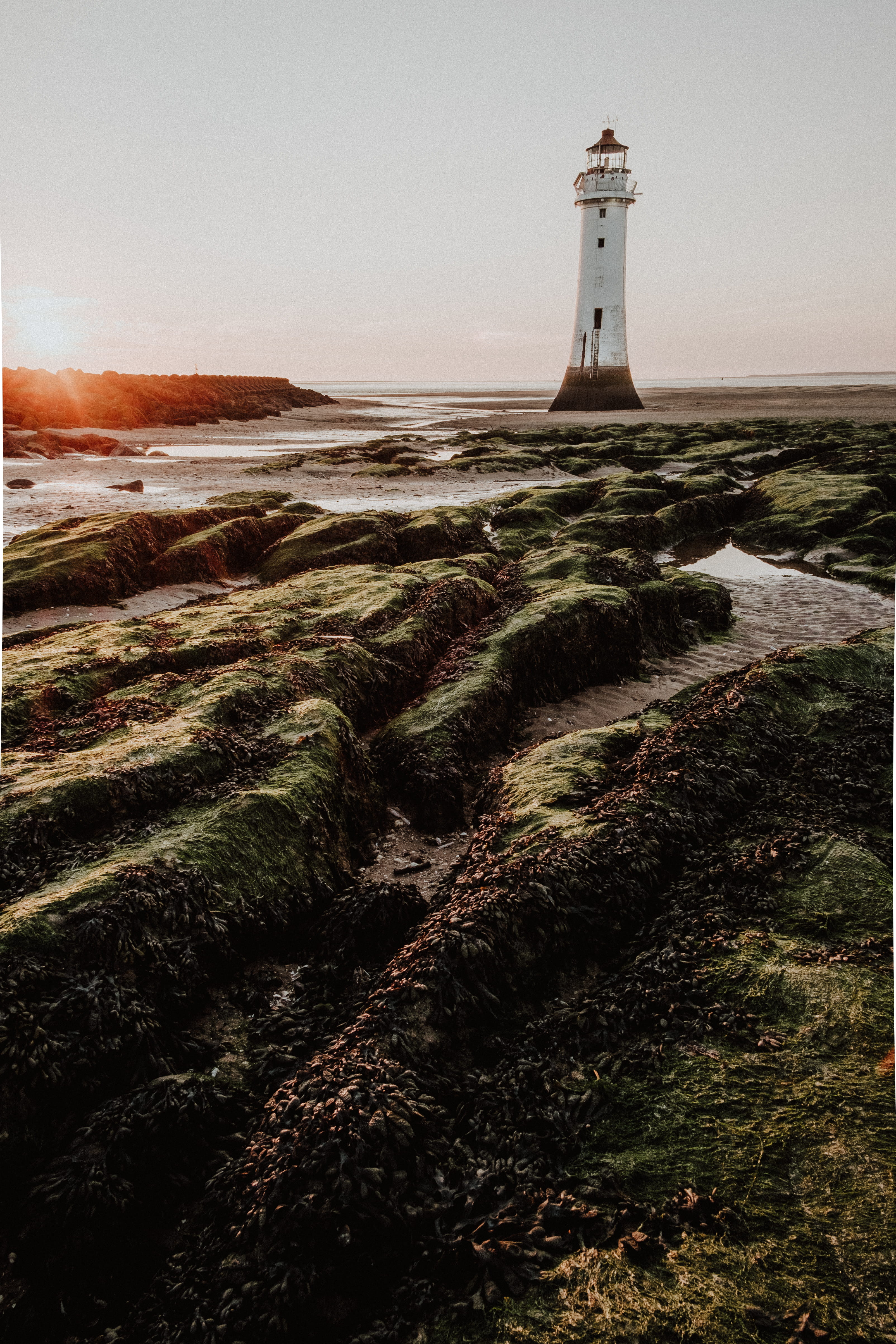 coastal, sunshine, algae, beach, photo, sun, vsco, waters Edge, scenics, architecture, built Structure, shoreline, evening, goldenhour, rock, shore, lighthouse, Phone HD Wallpaper