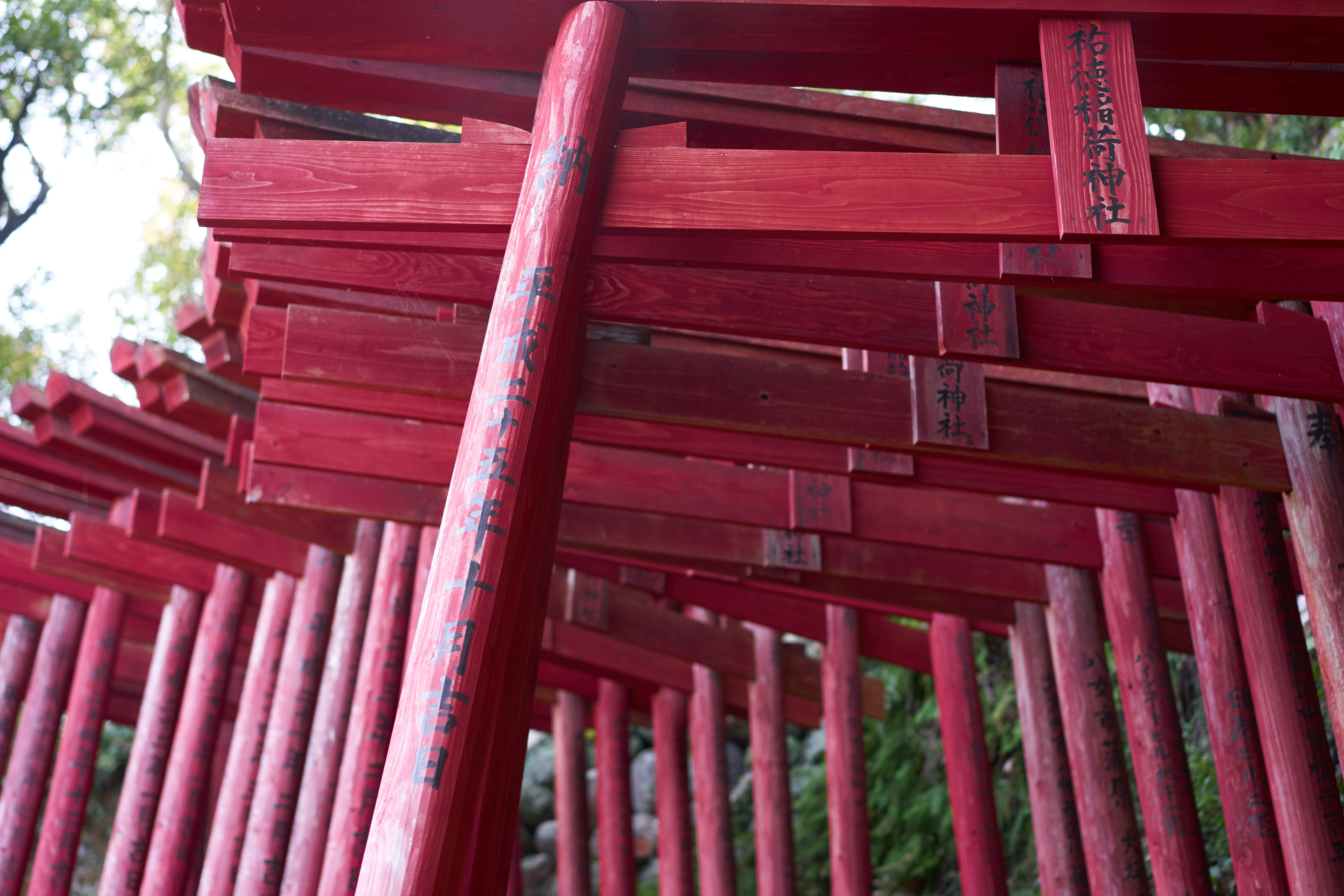 red, 5K, building exterior, day, architecture, torii, low angle view, yutoku inari shrine, no people, focus on foreground, building, roof, close-up, japan, HD Wallpaper