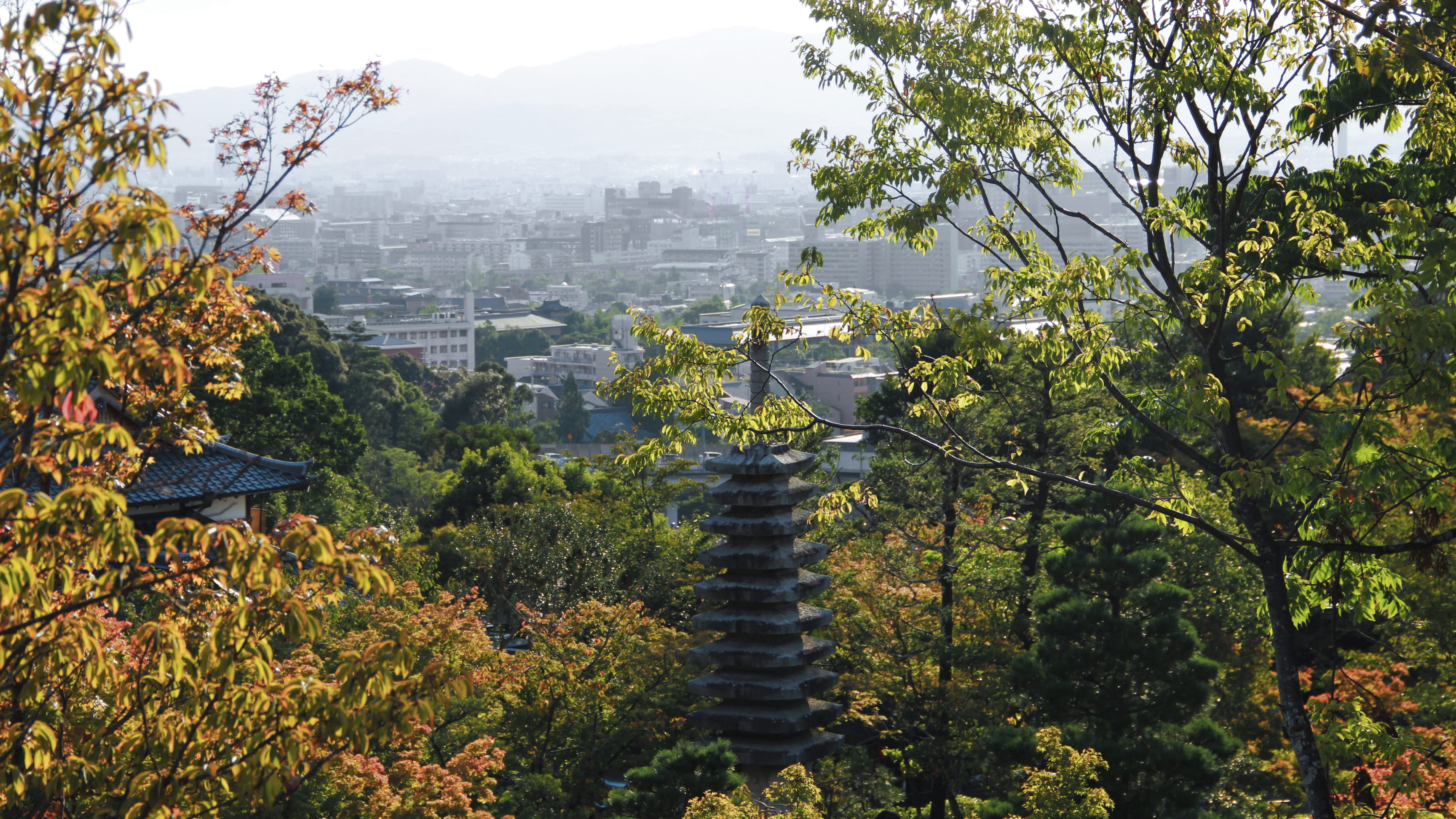conifer, landscape, scenery, no people, nature, mountain, religion, plant, city, belief, aerial view, autumn, trees, outdoors, land, kyoto, travel destinations, HD Wallpaper