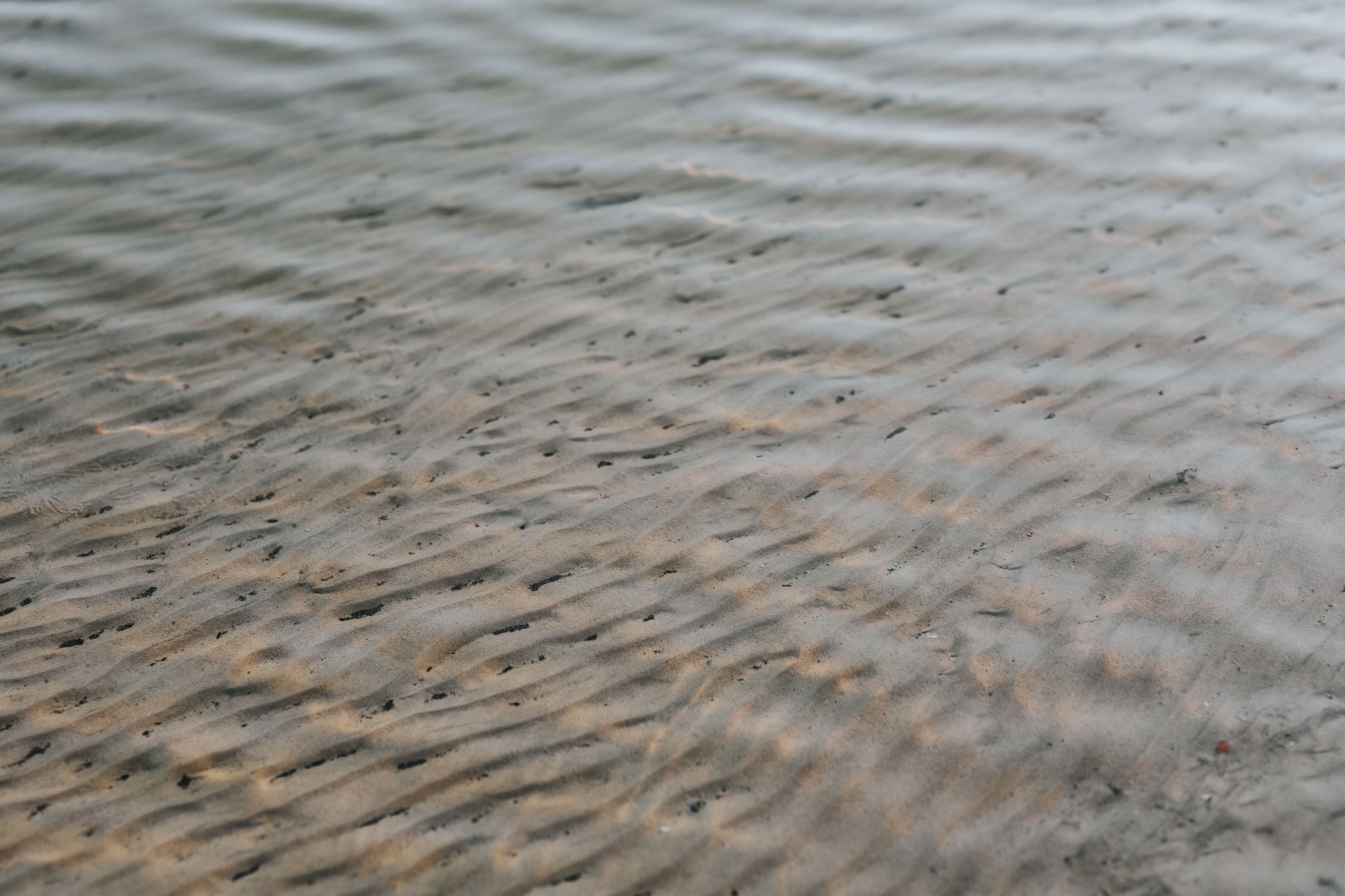 dog, water, lake, summer, 5K, natural pattern, river, beach, day, land, full frame, nature, beauty in nature, textured, arid climate, wave pattern, tranquility, HD Wallpaper