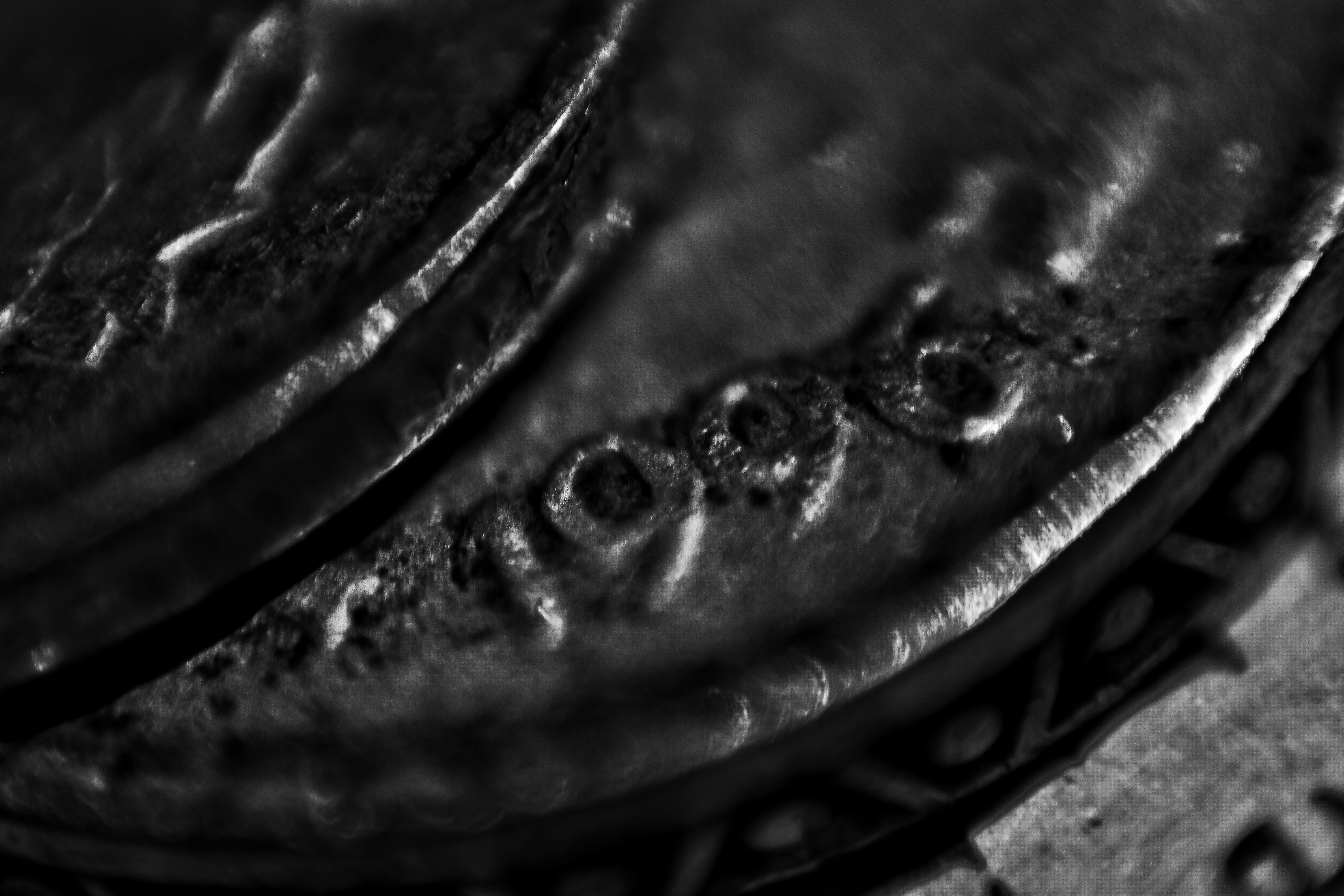 india, bhubaneswar, extreme close-up, reptile, food, full frame, single object, still life, selective focus, backgrounds, bowl, close-up, wellbeing, kitchen utensil, HD Wallpaper