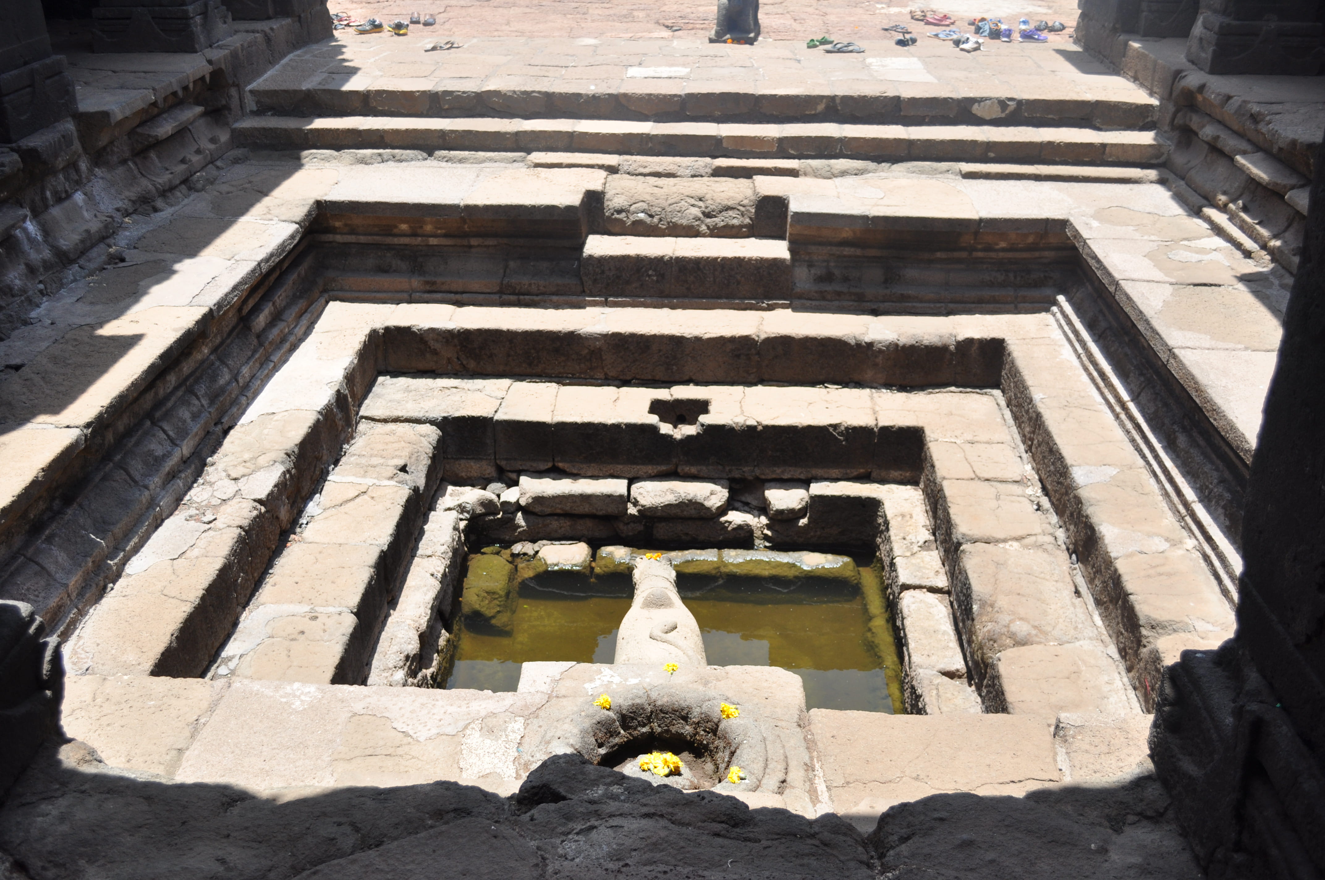 cow, building exterior, religion, belief, day, the past, built structure, travel, no people, sunlight, spirituality, india, water, steps and staircases, HD Wallpaper