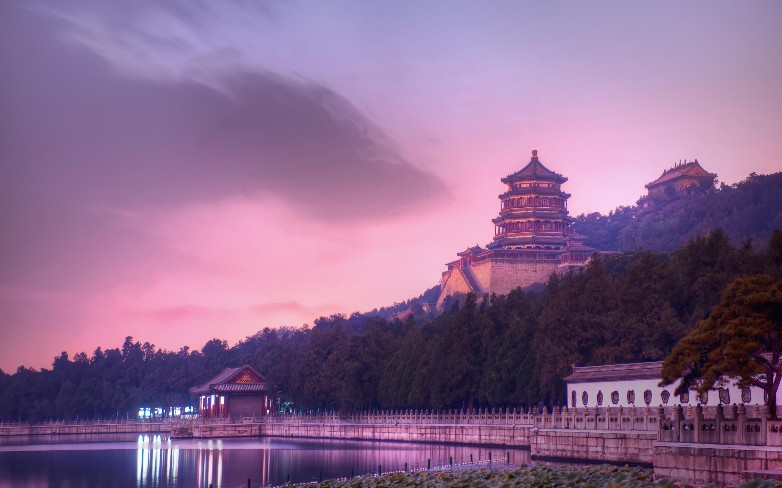 forest, temple, 2560x1600, world, near, river, tree, lake, japanese, mountain, 2K, HD Wallpaper