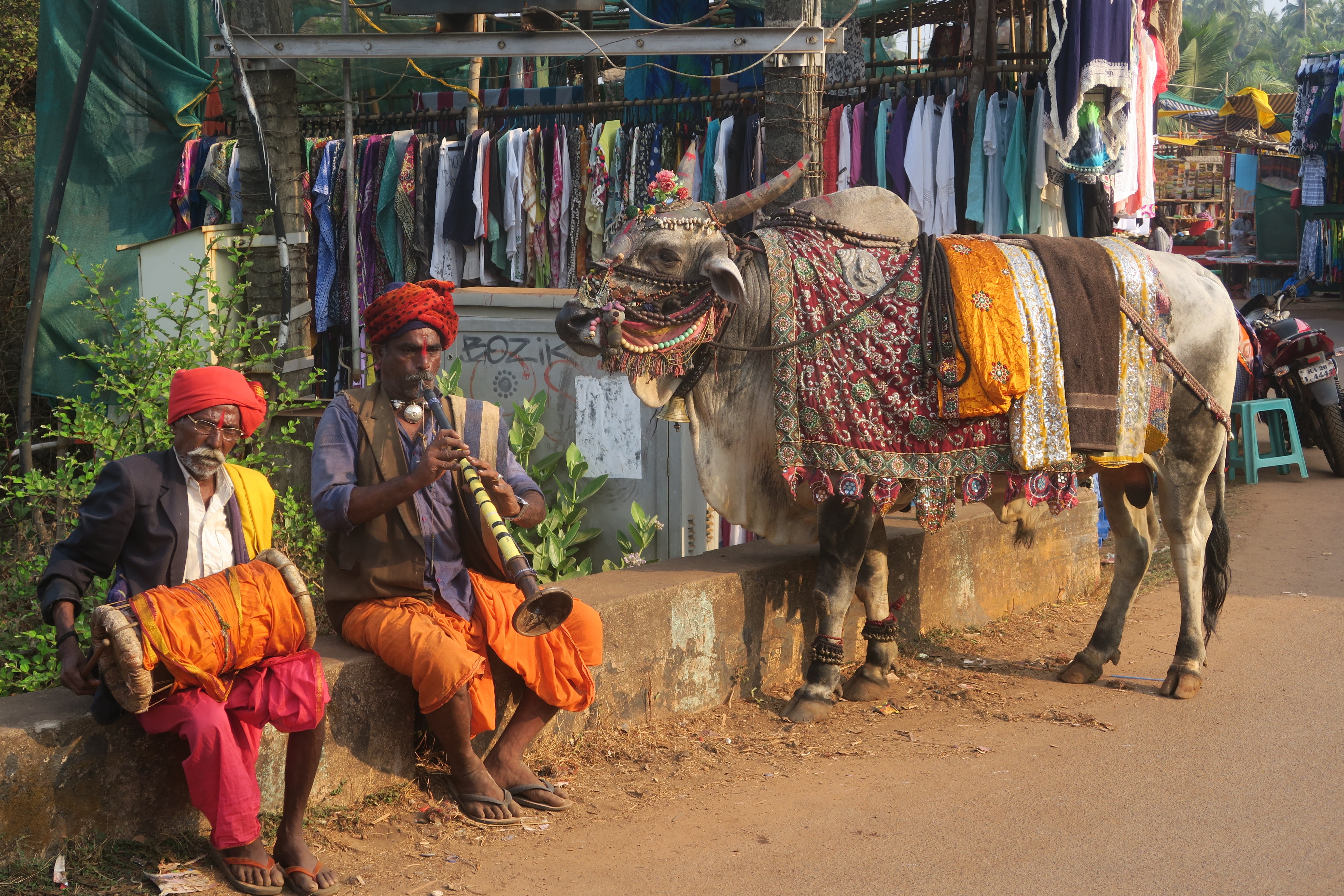 vertebrate, 5K, men, street, domestic animals, traditional, people, working animal, anjuna market, instruments, herbivorous, india, goa, clothing, man, HD Wallpaper