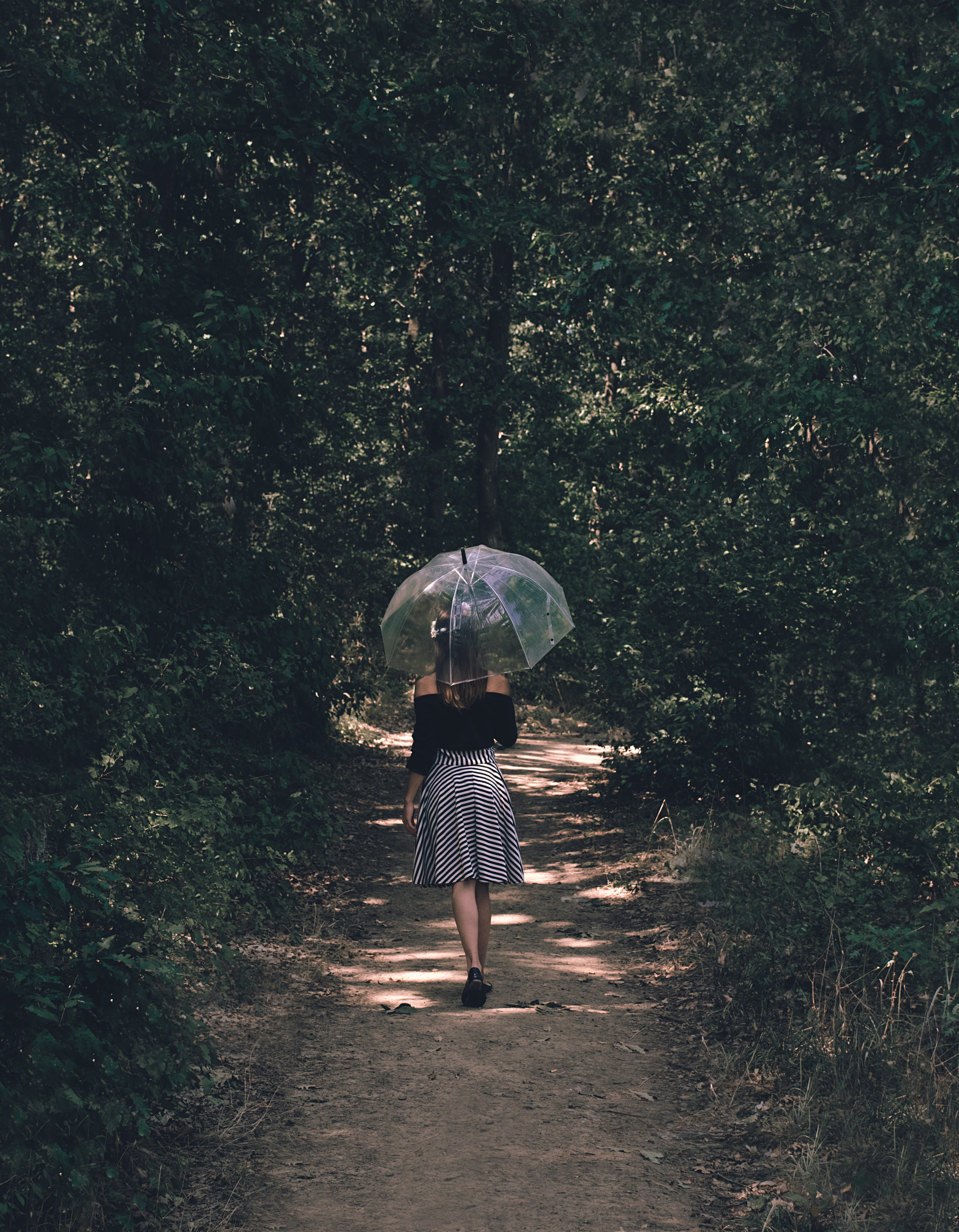 full length, leafe, protection, fashion, walk, rain, holding, lifestyles, leaf, rear view, casual clothing, clear, women, lost, forest, path, real people, Phone HD Wallpaper