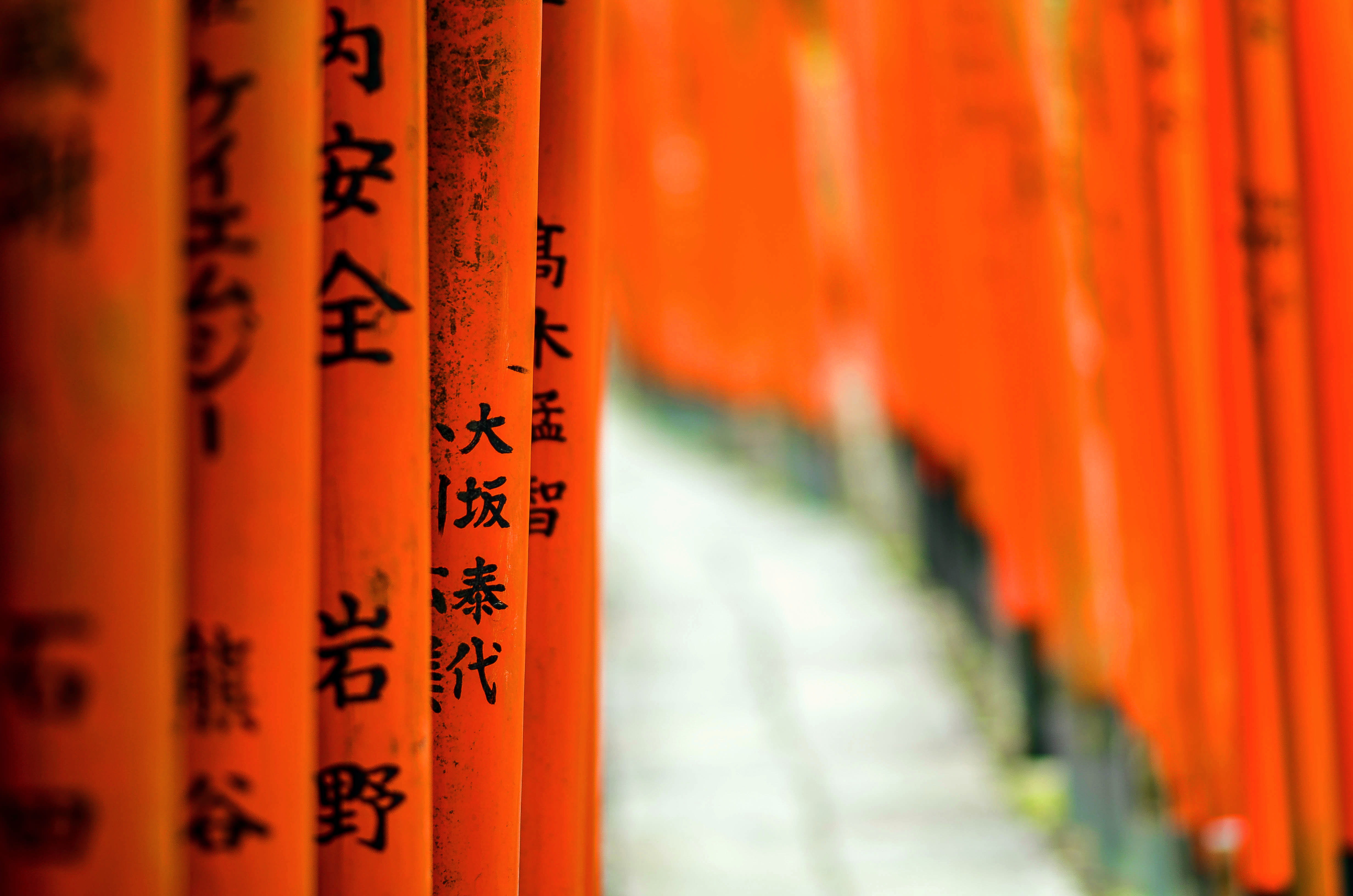script, spirituality, communication, in a row, japan, tourism, place of worship, path, spiritual, 4K, japon, where are we ?, travel, architecture, kyoto, HD Wallpaper