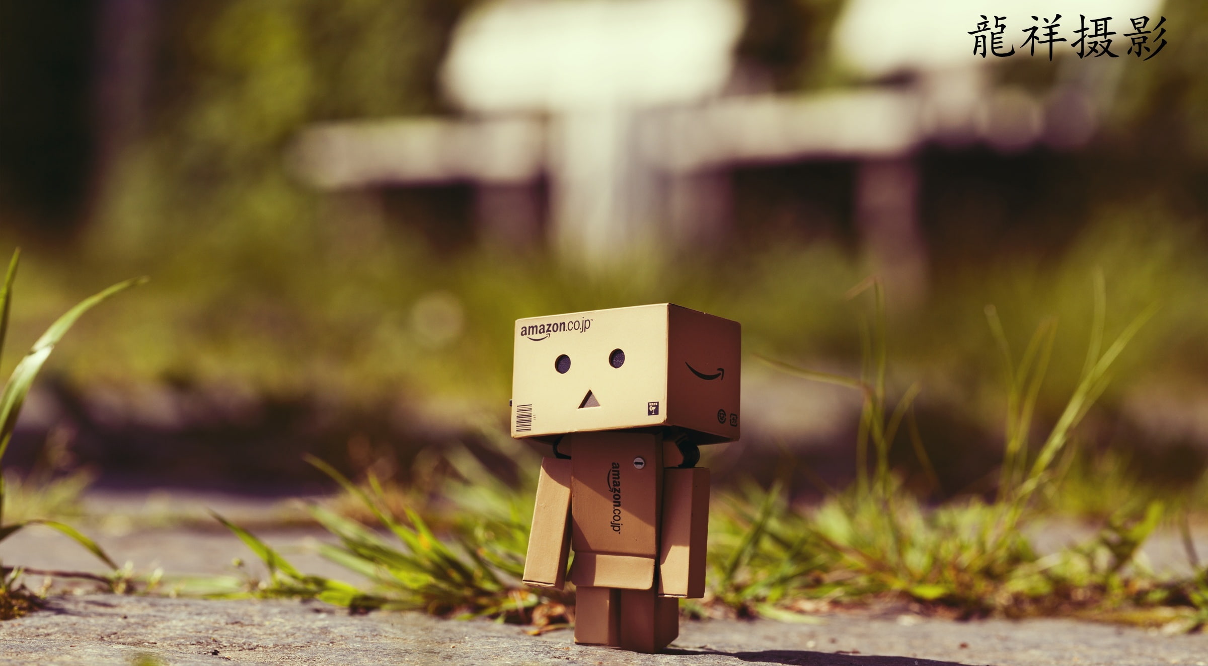 cardboard, plant, day, toy, art and craft, creativity, Creative, close-up, danbo, representation, amazon, technology, communication, Aero, 1080P, human representation, HD Wallpaper
