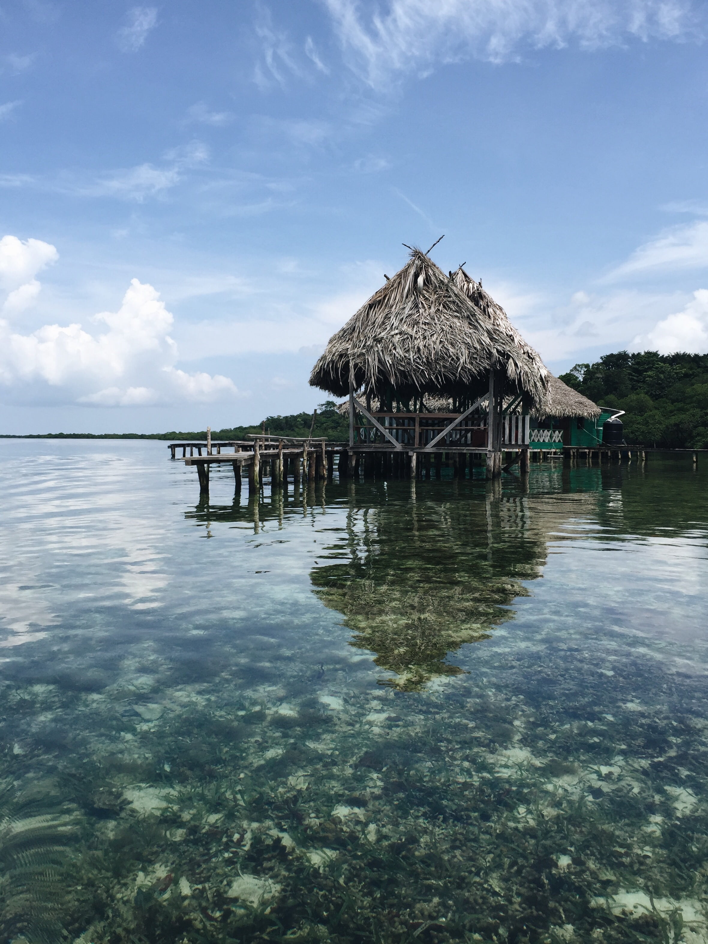 day, house, waterfront, corals, tropical climate, clear, vacation, cloud - sky, nature, trees, architecture, black, clouds, no people, 2K, cottage, adventure, Phone HD Wallpaper