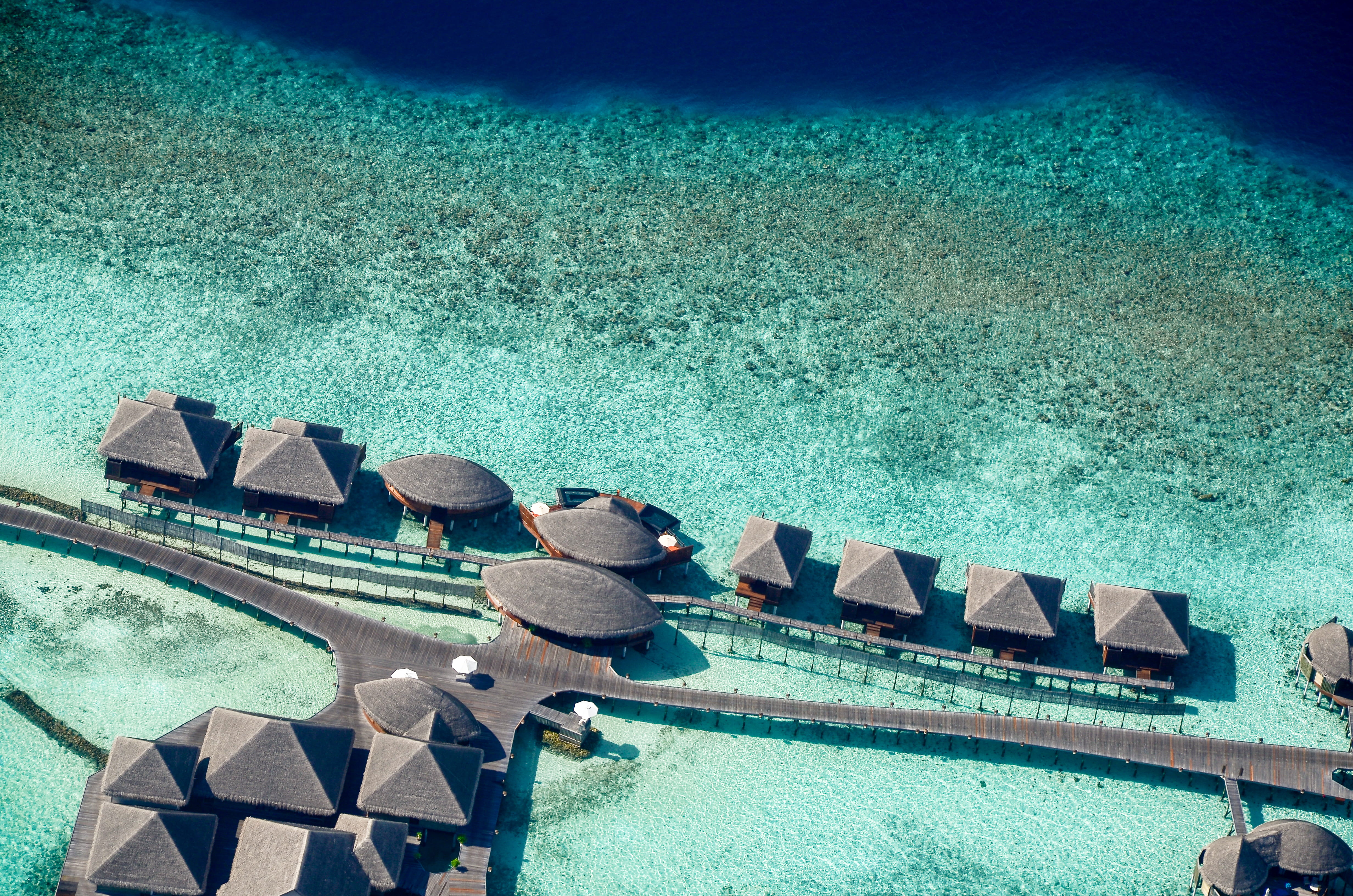 outdoors, high angle shot, sunlight, bird, eye, pool, turquoise colored, fun, sea life, swimming pool, water, drone shot, high angle view, view, HD, HD Wallpaper