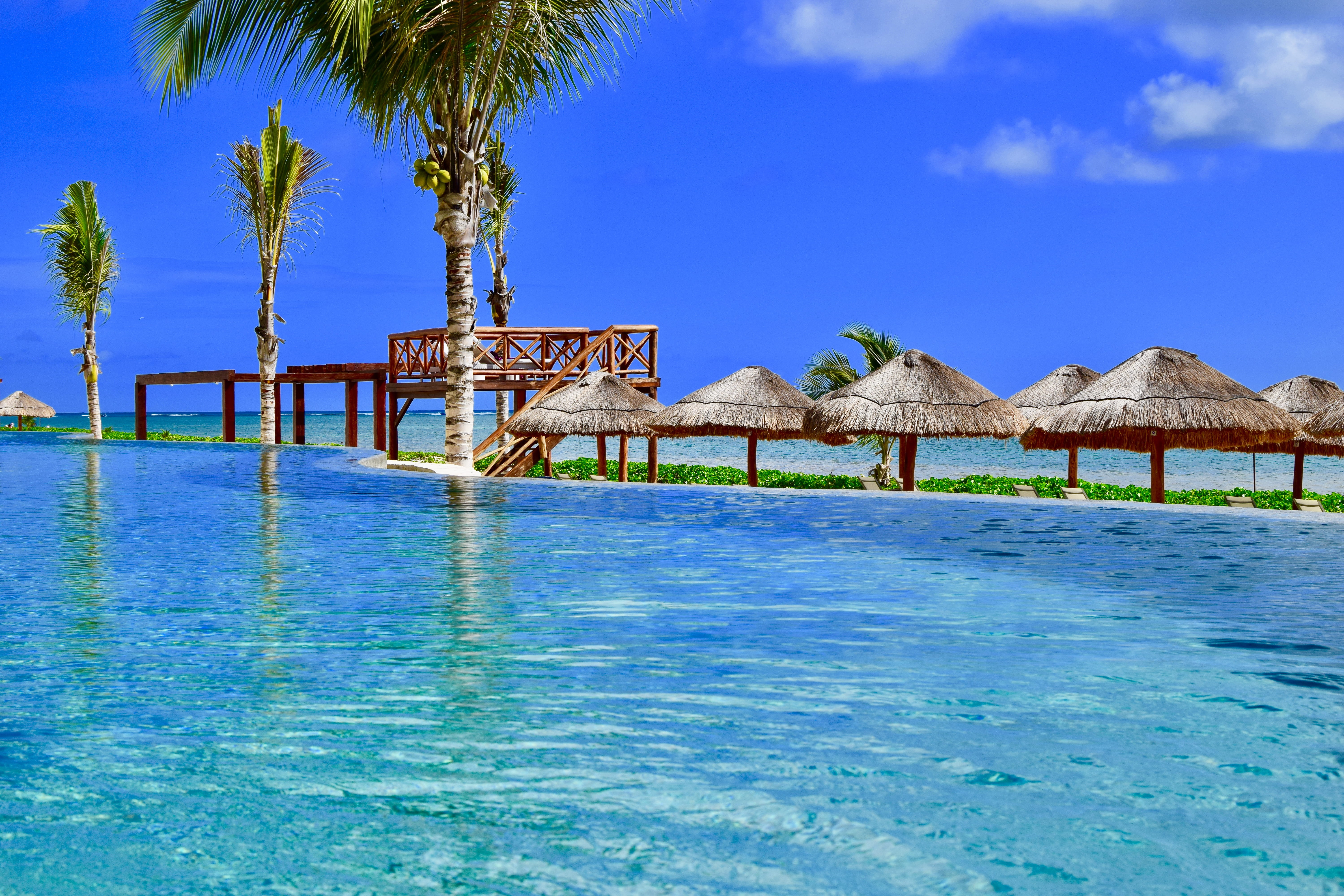 puerto morelos, body, plant, day, travel destinations, tropical climate, tropical, land, cabana, wooden, coconut palm tree, countryside, mexico, water, HD Wallpaper