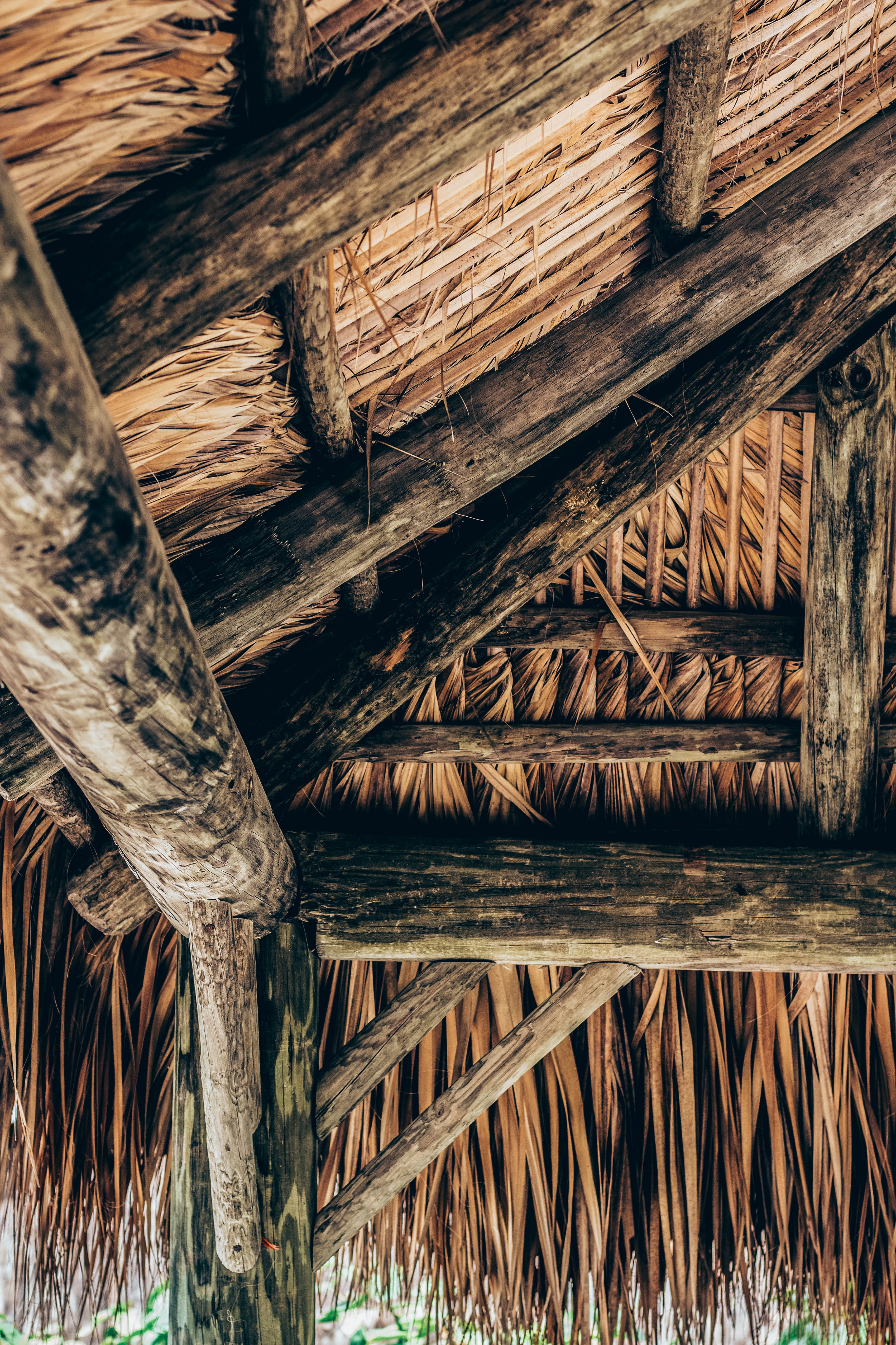nipa, tree, large group of objects, pattern, roof, beach, plant, no people, day, brown, outdoors, palm leaf, textured, backgrounds, thatched roof, close-up, Phone HD Wallpaper