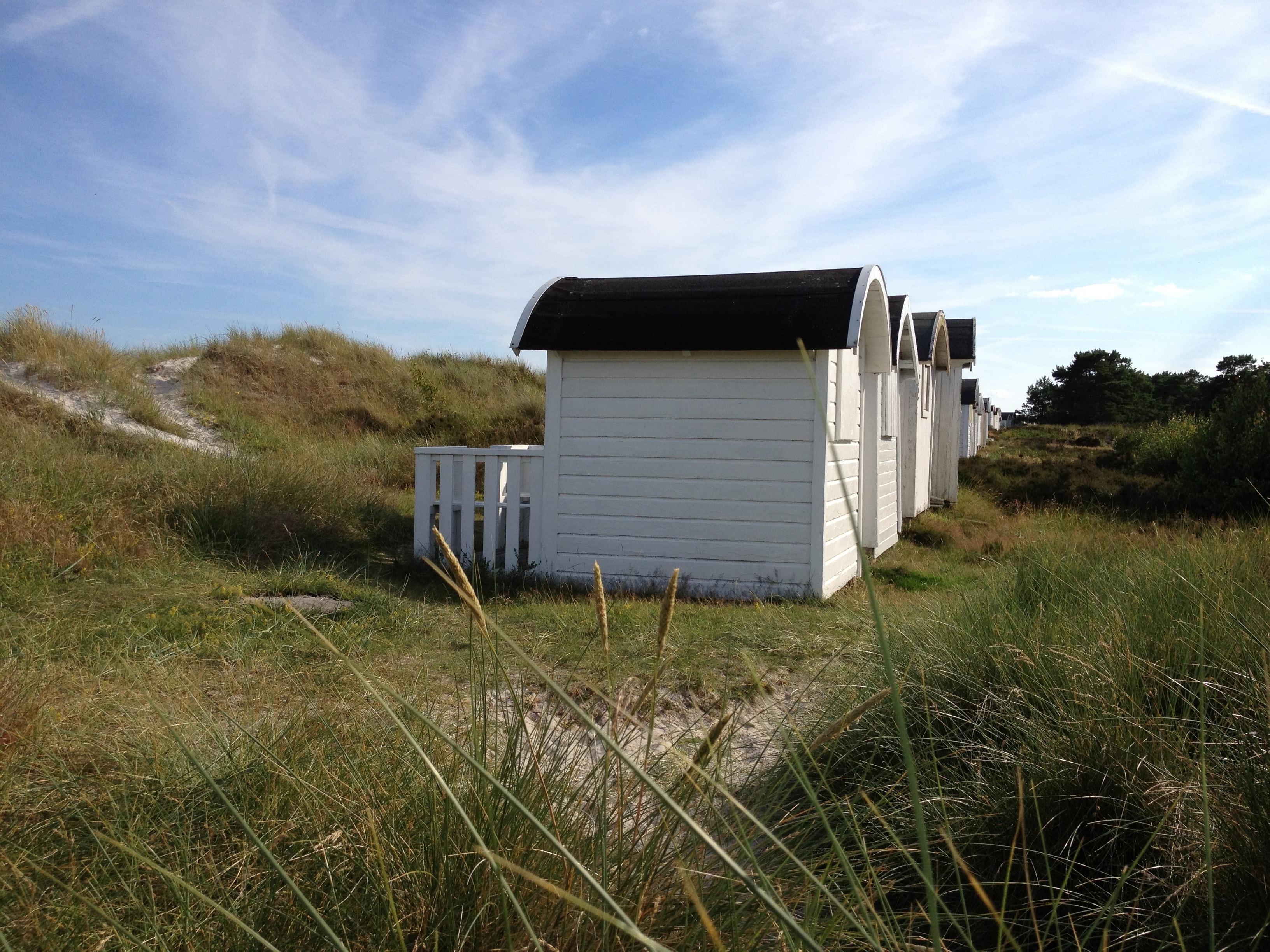 building exterior, field, building, beach, summer, architecture, house, day, nature, 2K, tranquility, land, grass, sky blue, sweden, himmel, sand, built structure, HD Wallpaper