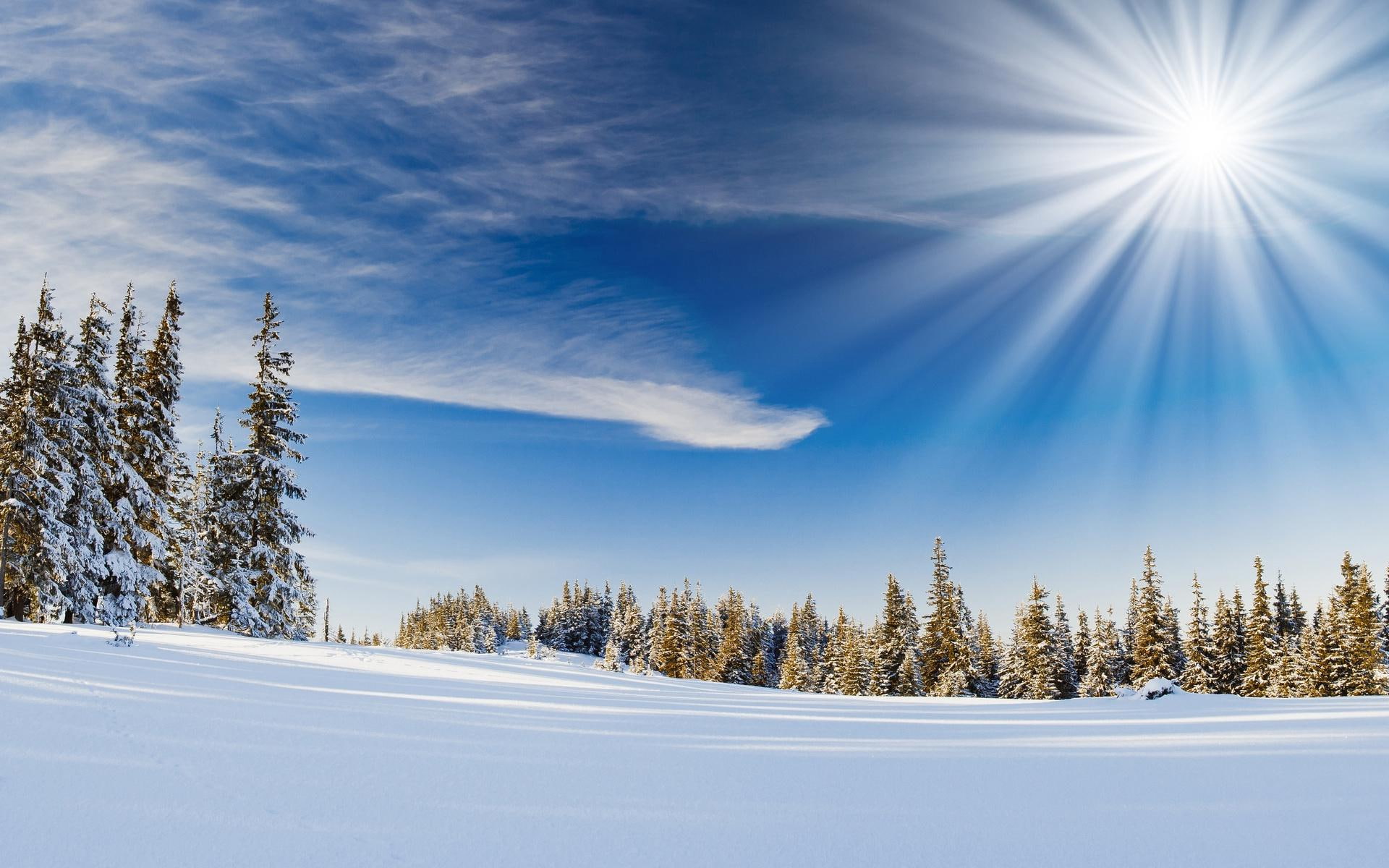 landscapes, 1080P, download, trees, nature, sky, photo, sunlight, forests, bokeh, snow, winter, seasons, manipulation, sunbeam, scenic, HD Wallpaper