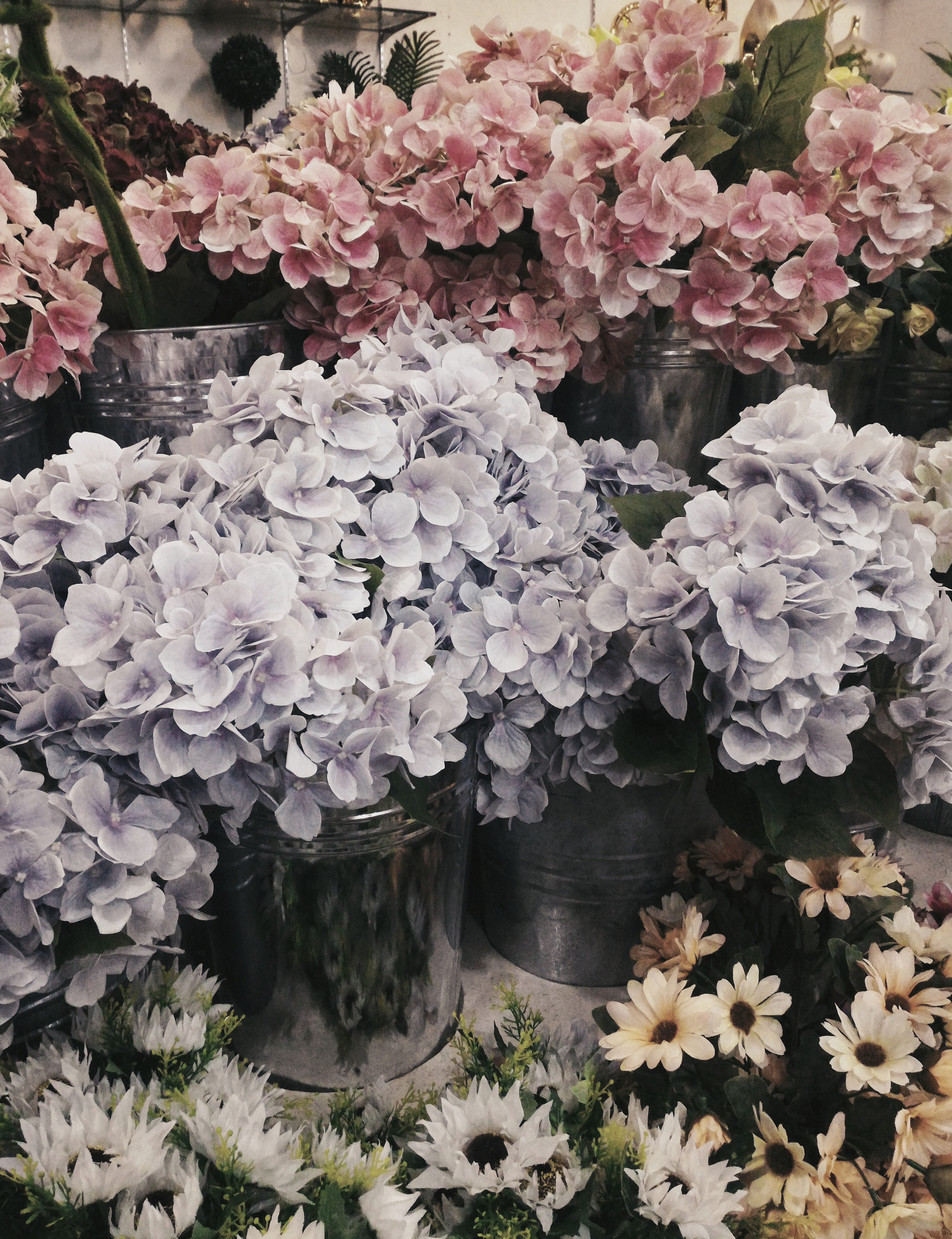 springtime, growth, abundance, spring, plant, bunch of flowers, flowering plant, blossom, flower head, no people, petal, close-up, nature, robinsons novaliches bldg. a, Phone HD Wallpaper