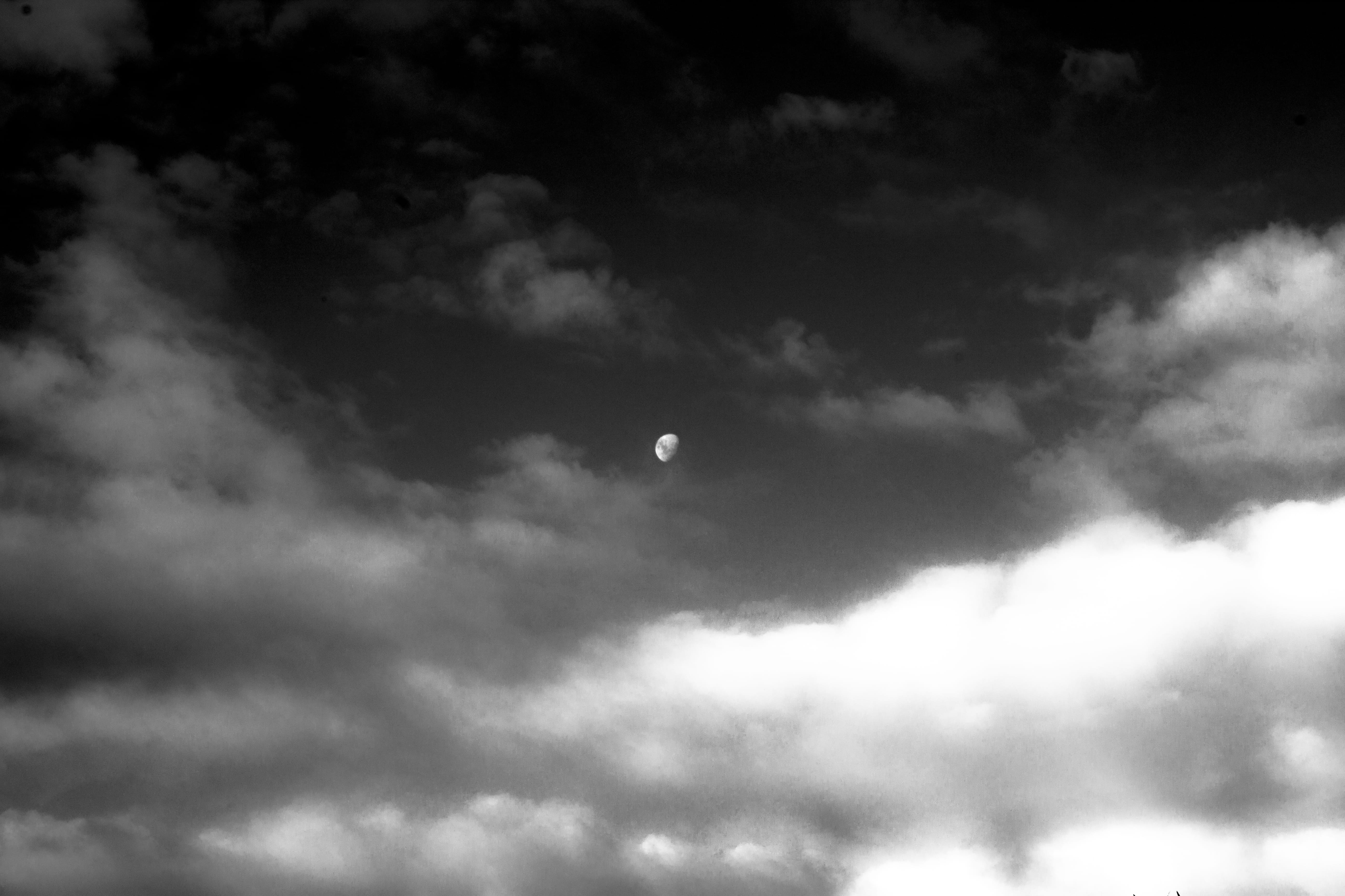 ominous, scenics - nature, vertebrate, low angle view, 5K, beauty in nature, overcast, majestic, tranquil scene, planetary moon, sky, clouds, no people, HD Wallpaper