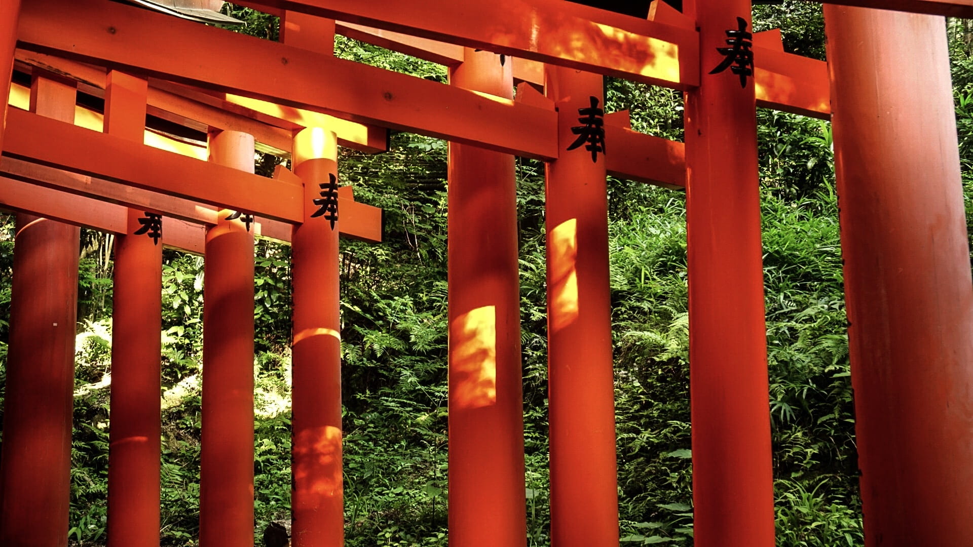 outdoors, lighting equipment, building exterior, building, place of worship, shrine, red, in a row, architecture, 1080P, gate, built structure, no people, HD Wallpaper