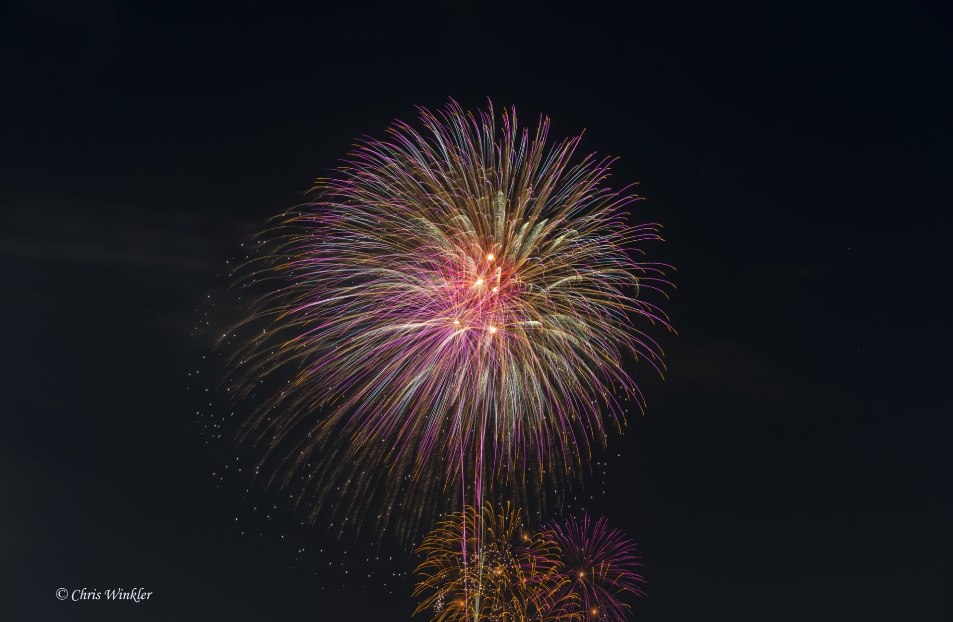 festival, Fireworks, Japan, Alpha, firework display, firework - man made object, blurred motion, sonnar, New Year, sky, exploding, edogawadistrict, edogawa, HD Wallpaper