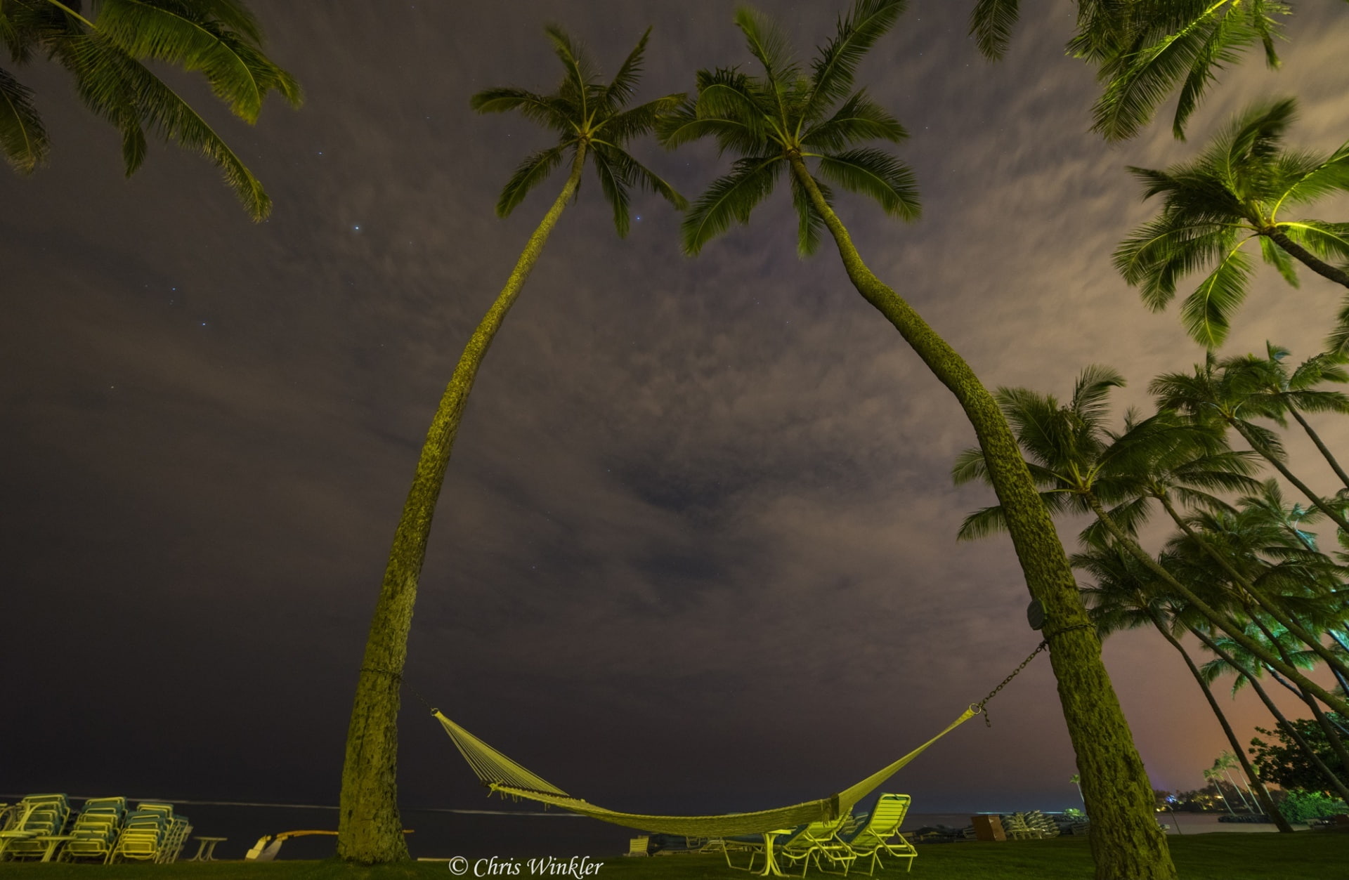 Vacation, autofocus, coconut palm tree, honolulu, growth, Pacific, outdoors, Hawaii, low angle view, tropical climate, ilce7r, laying, Islands, water, built structure, HD Wallpaper