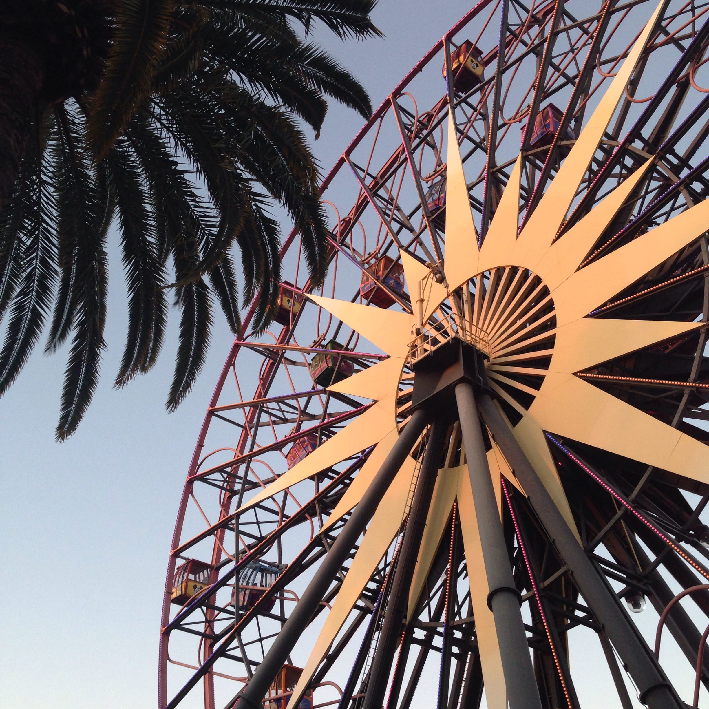 tropical climate, #ferriswheel #carnival #fun, sky, leaf, low angle view, pattern, clear sky, metal, nature, palm tree, tree, plant, palm leaf, growth, Phone HD Wallpaper