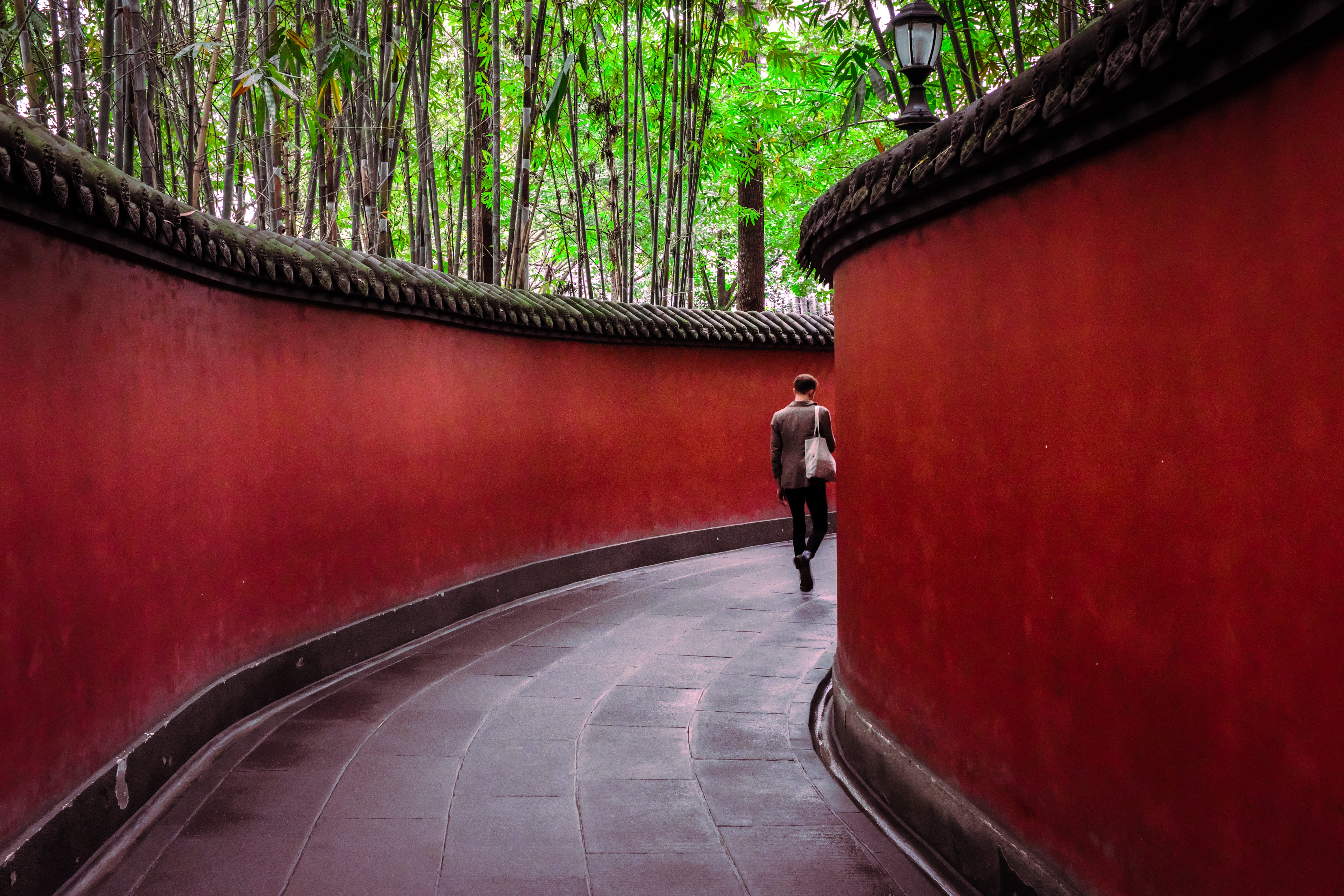 walking, red, full length, woodland, nature, real people, shrine, hallway, male, forest, 5K, stone, alley, built structure, city, architecture, lamp, person, HD Wallpaper