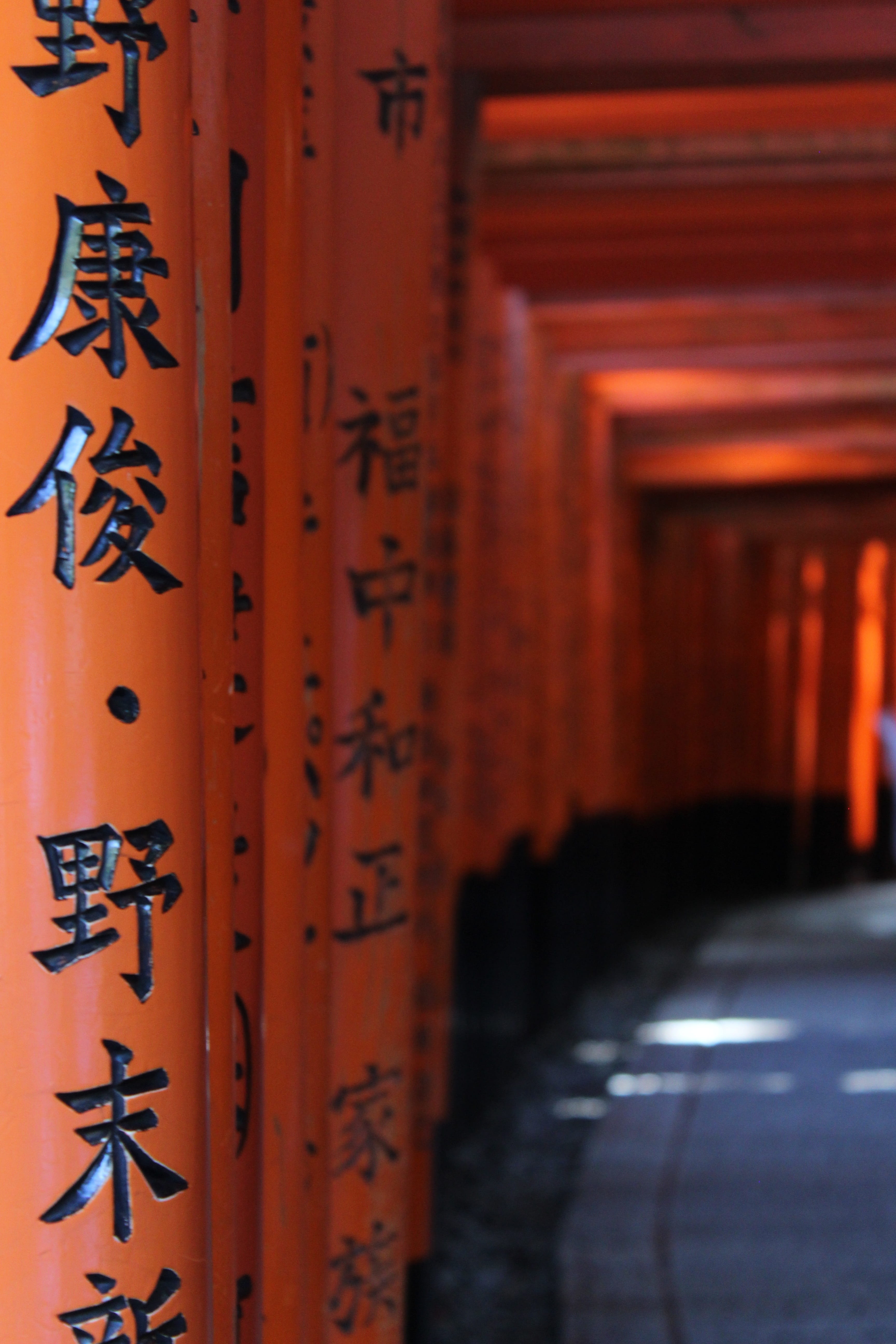 5K, place of worship, fushimiinari, built structure, architectural column, shrine, script, kyoto, focus on foreground, temple, buddhism, spirituality, Phone HD Wallpaper