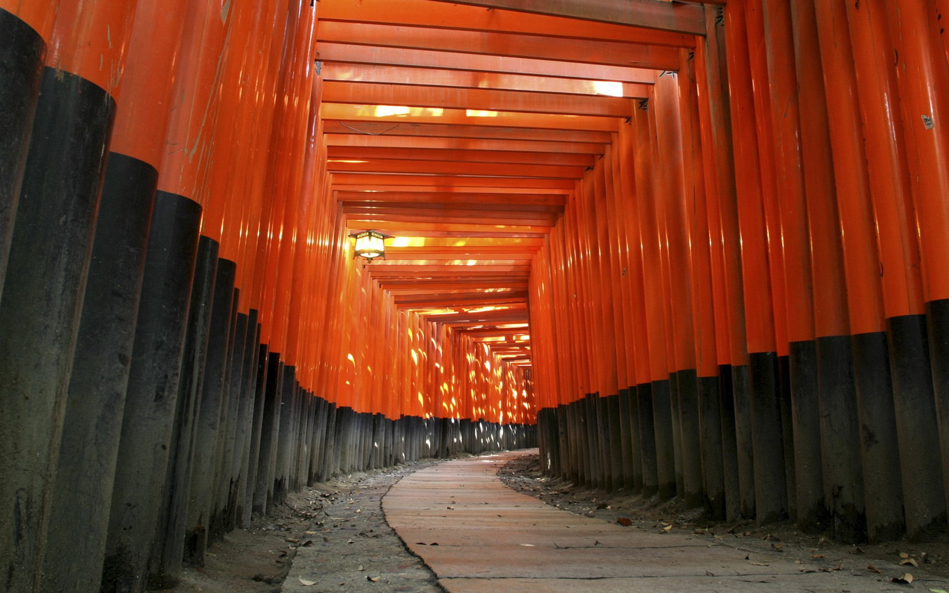 shrine, fushimi, inari, architecture, japanese, torii, 1080P, japan, HD Wallpaper