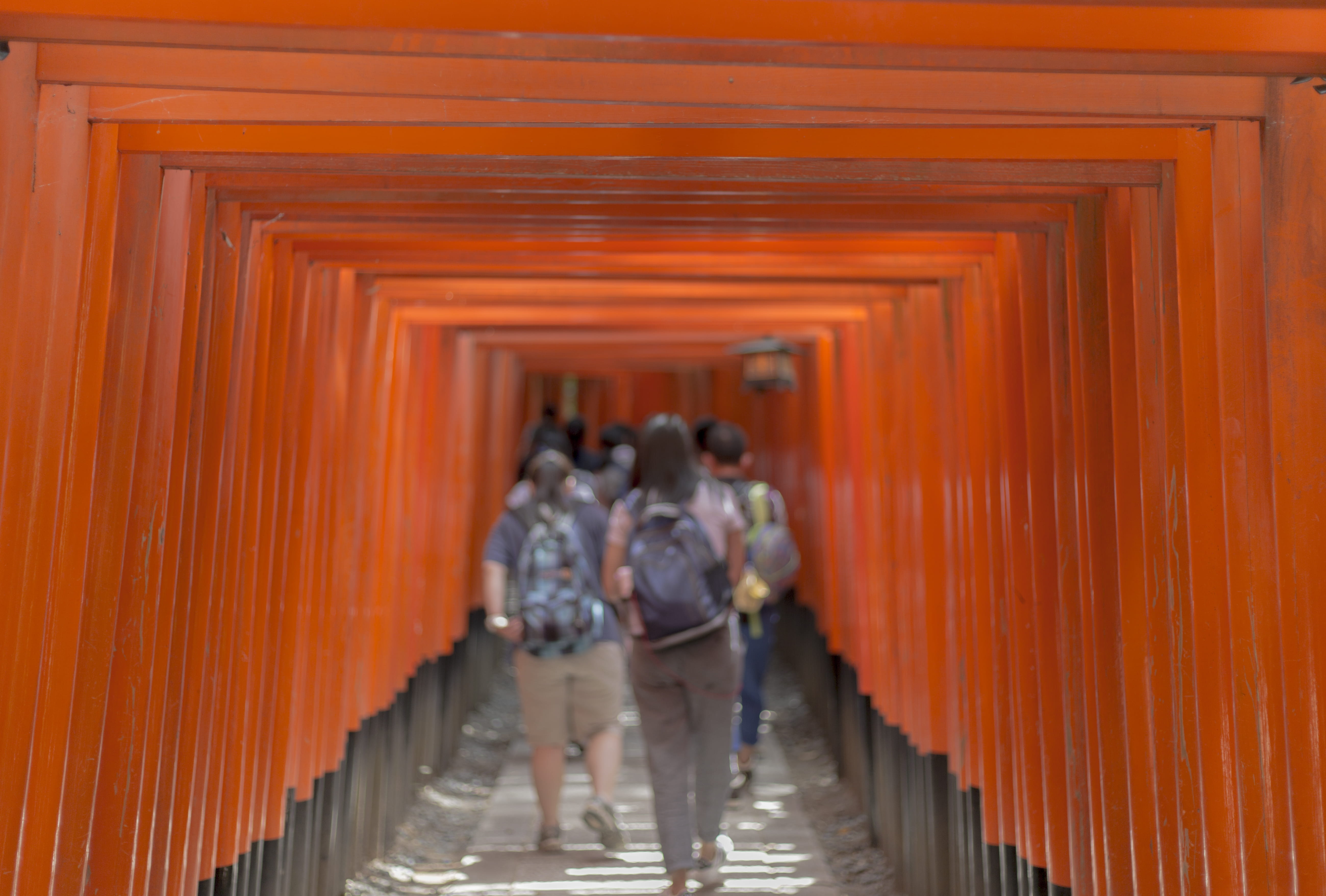 group of people, footwear, human, place of worship, people, architecture, the way forward, pedestrian, black, rear view, asium, men, torii, belief, built structure, HD Wallpaper