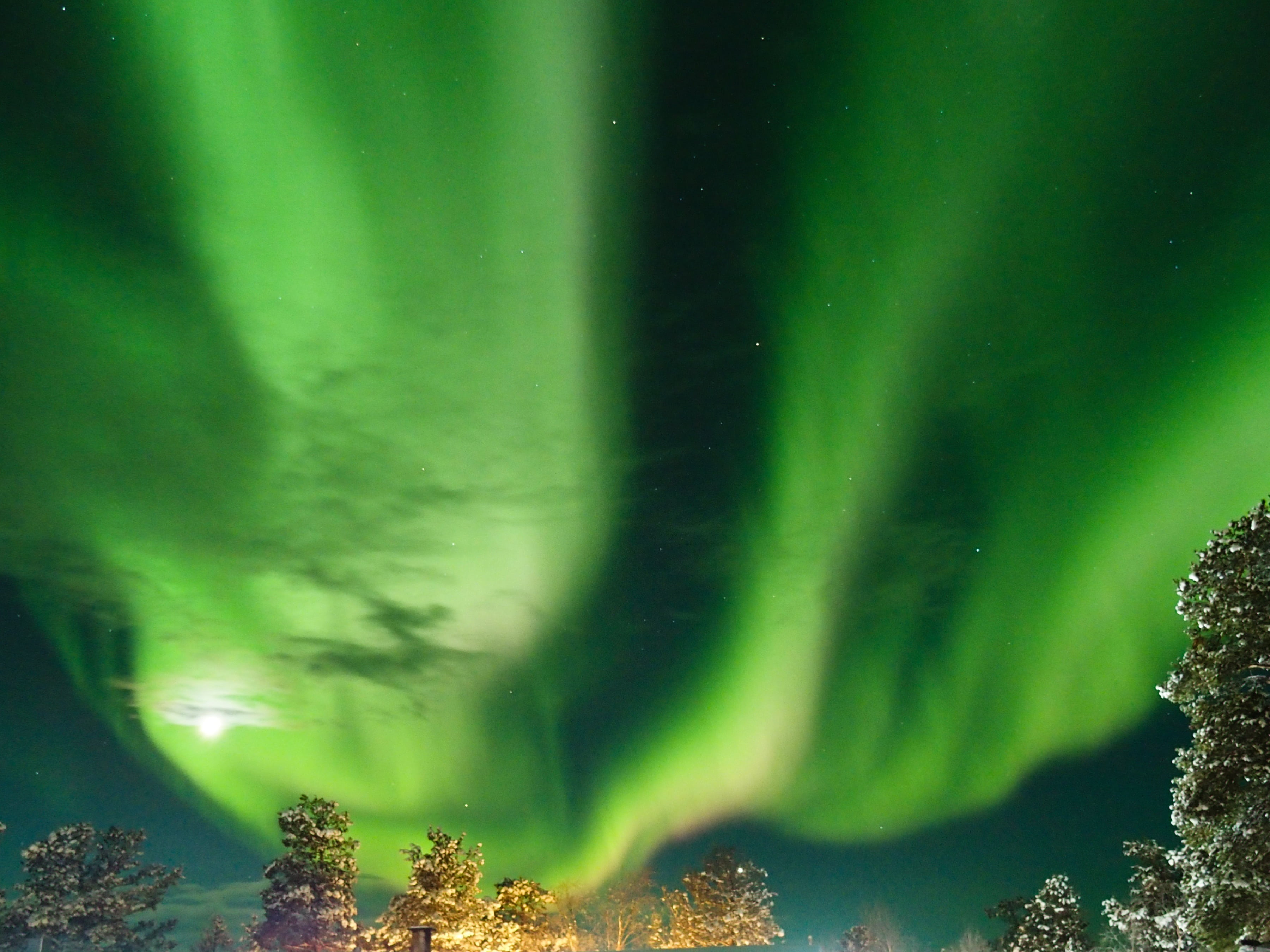 space, tree, inari, beauty in nature, finland, scenics - nature, tranquility, aurora borealis, natural phenomenon, green color, luminosity, nature, mystery, HD Wallpaper