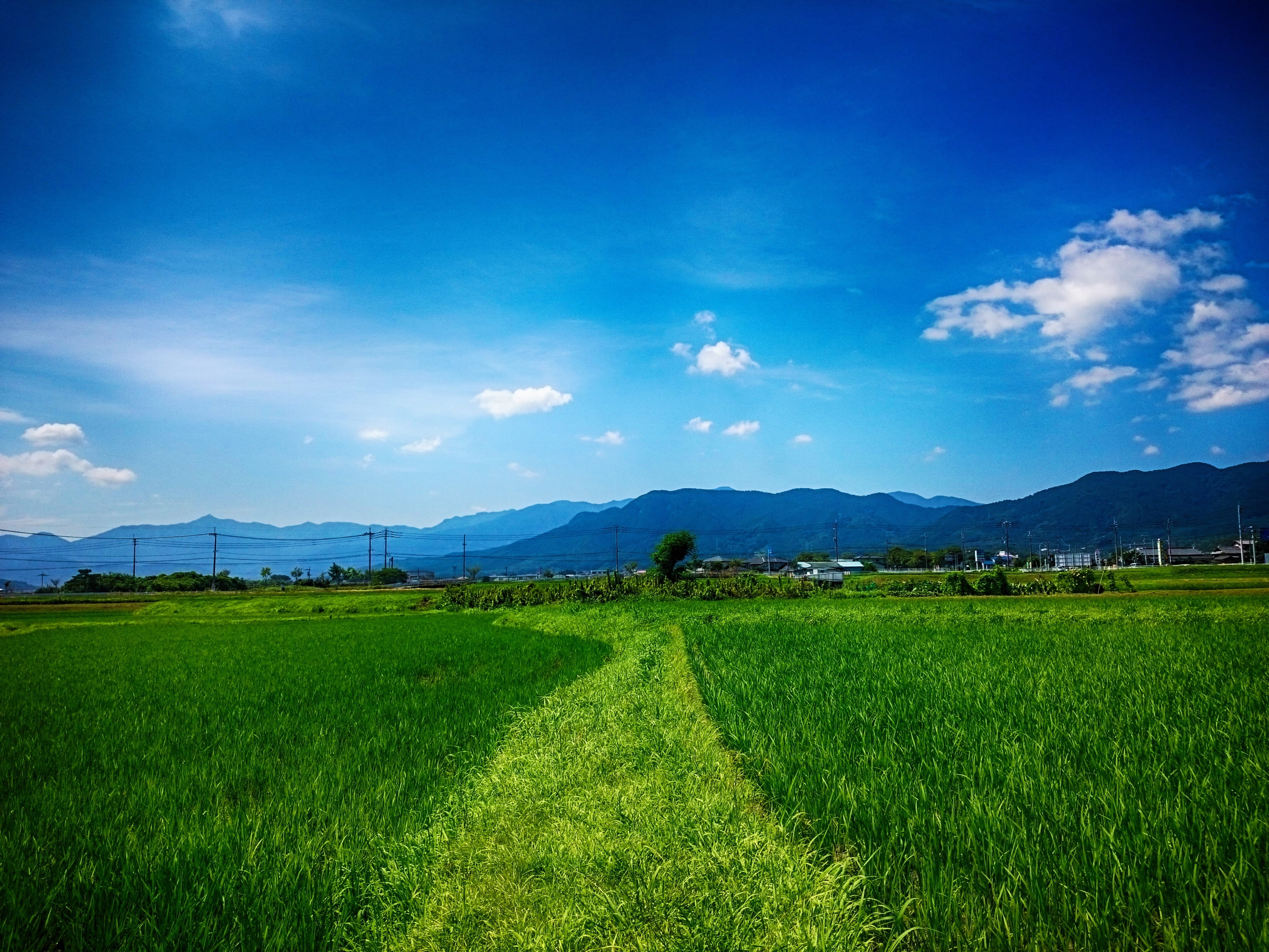 cloud - sky, 2K, grass, tanaka, beauty in nature, sky, mountain range, japan, tranquil scene, growth, tranquility, field, outdoors, plantation, HD Wallpaper
