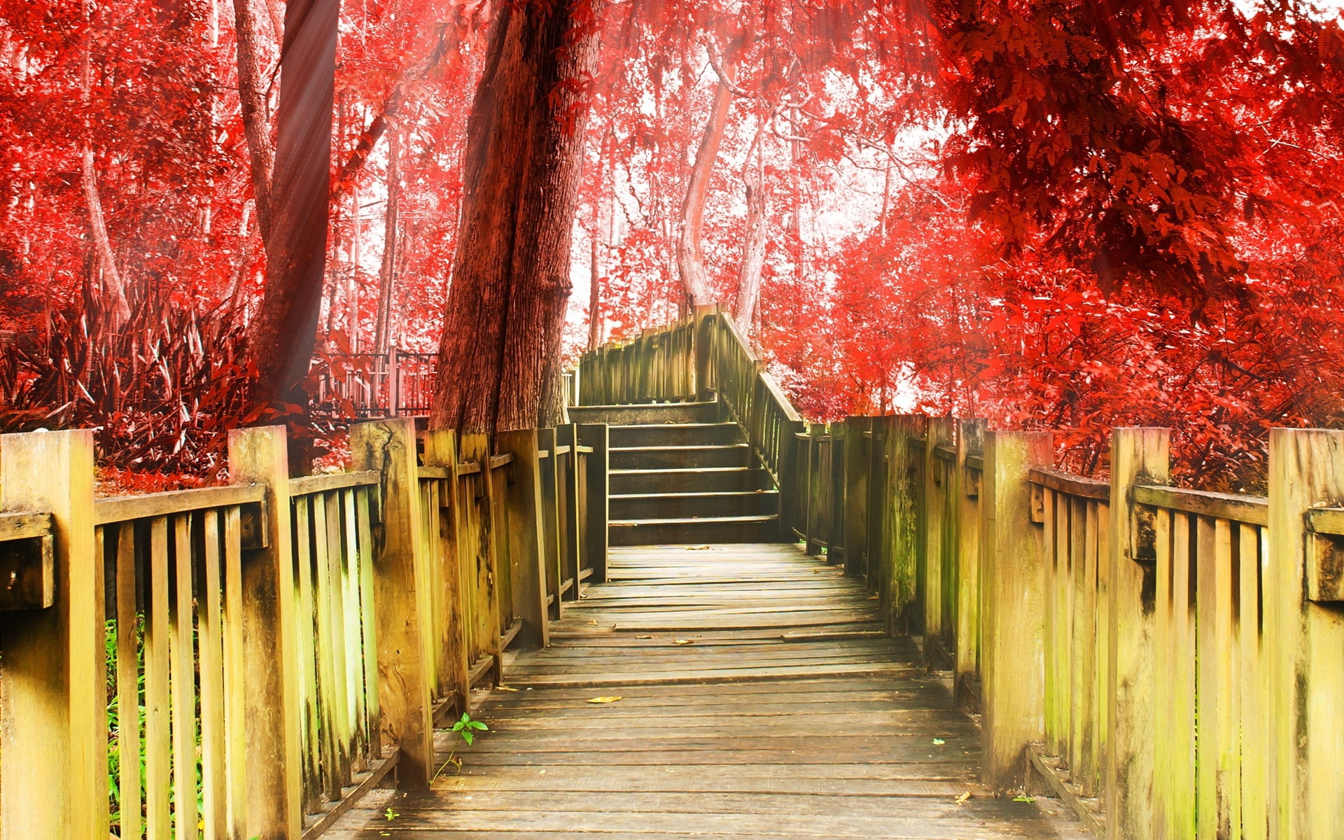Autumn, Trees, brown, Walkway, fence, Stairs, Red, wooden, 1080P, Park, Leaves, pathway, HD Wallpaper