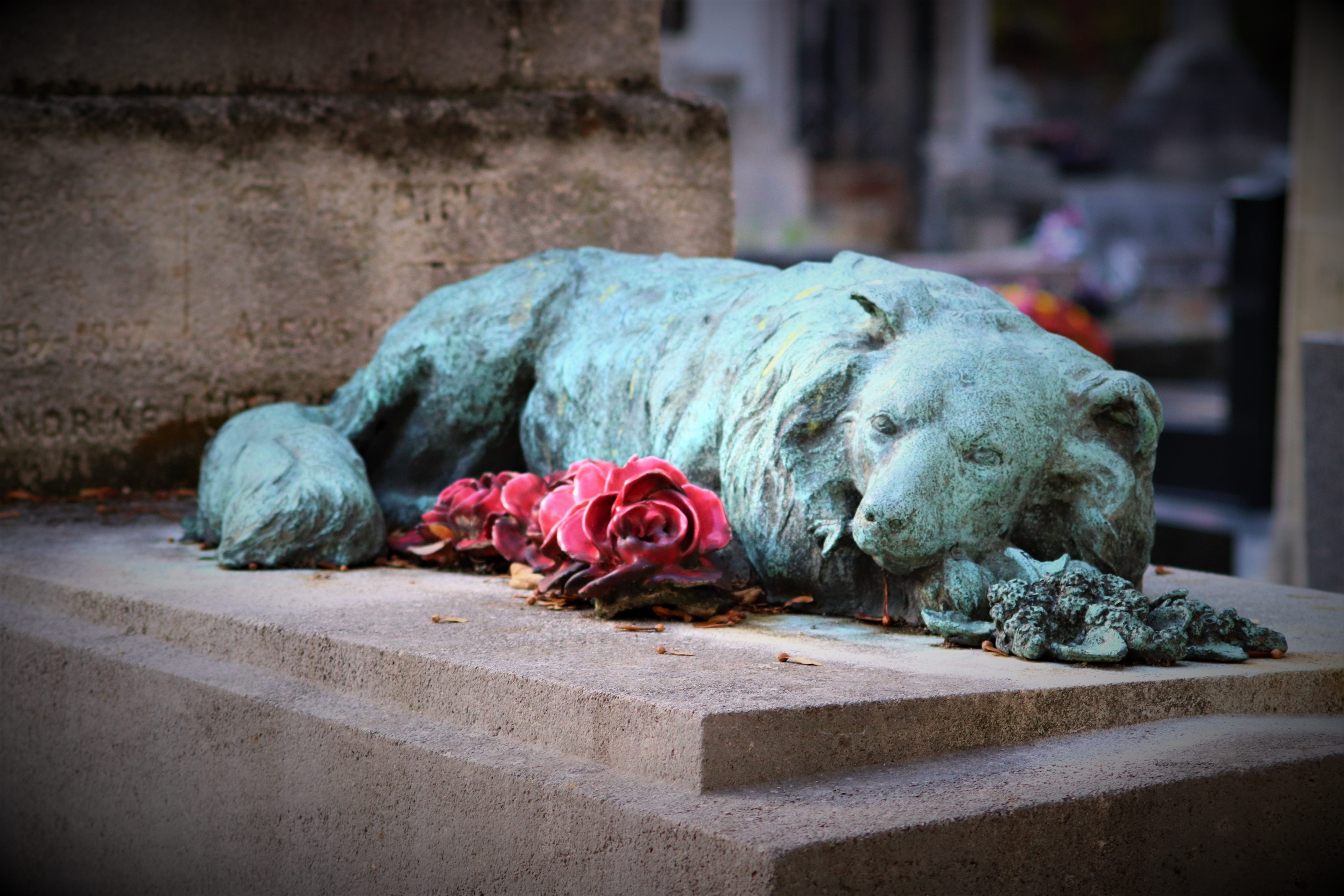 flower, belief, sadness, 5K, plant, bronze, the past, outdoors, history, relaxation, funerary monument, pierre, tomb, serious, statue, mammal, flowering plant, HD Wallpaper