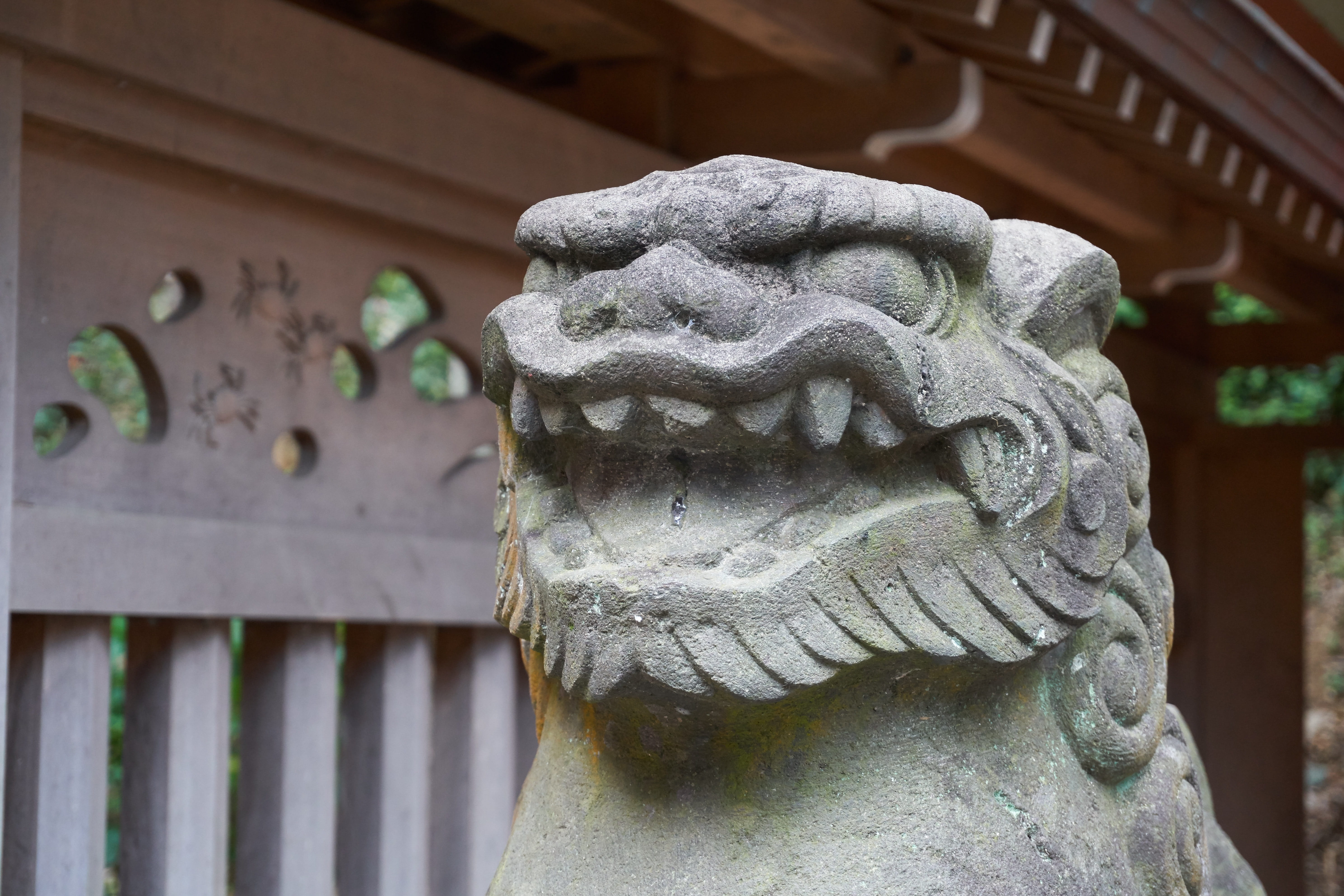 representation, gargoyle, craft, ornate, Dogs, carving, building, human representation, built structure, statue, Shrine, place of worship, carving - craft product, HD Wallpaper