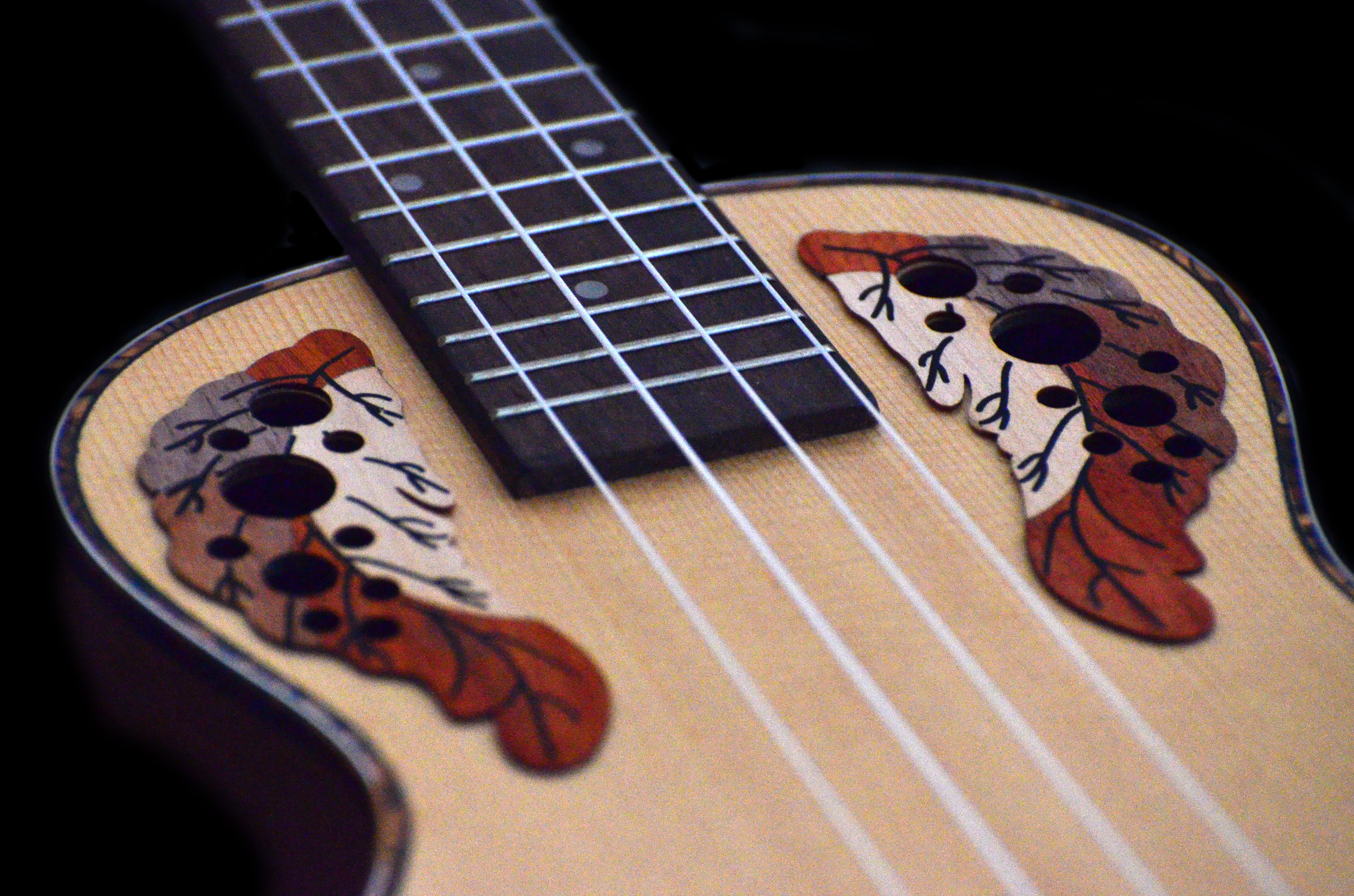indoors, signature, handwriting, musician, plectrum, brown, no people, lute, banjo, focus on foreground, pattern, fiddle, strings, studio shot, ukulele, HD Wallpaper